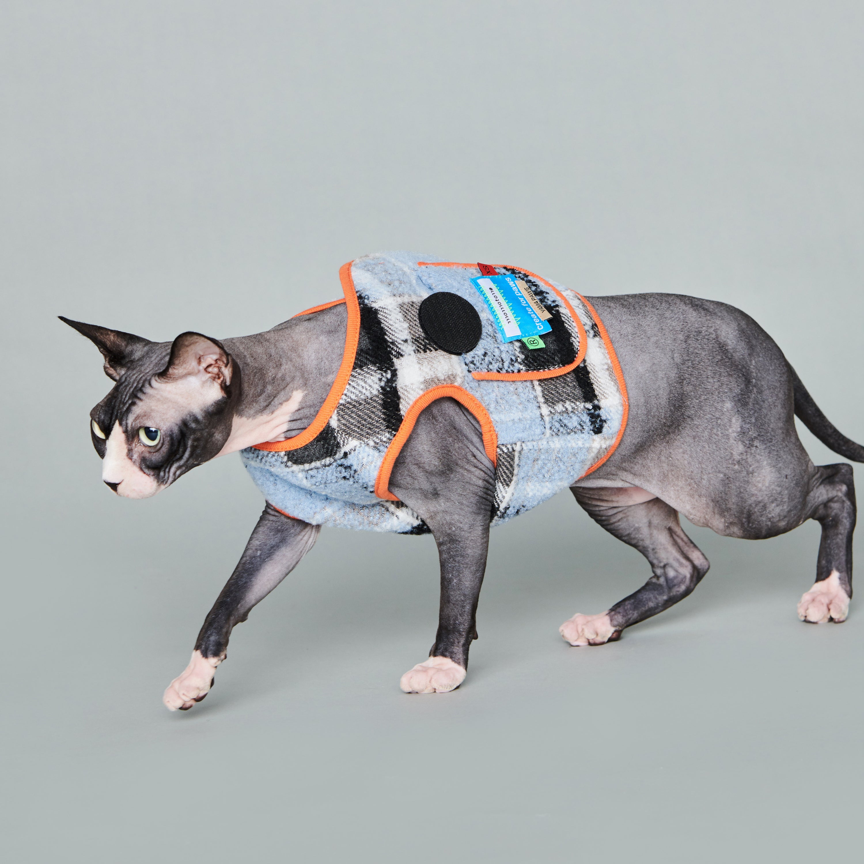 asteroid / plaid gilet light blue