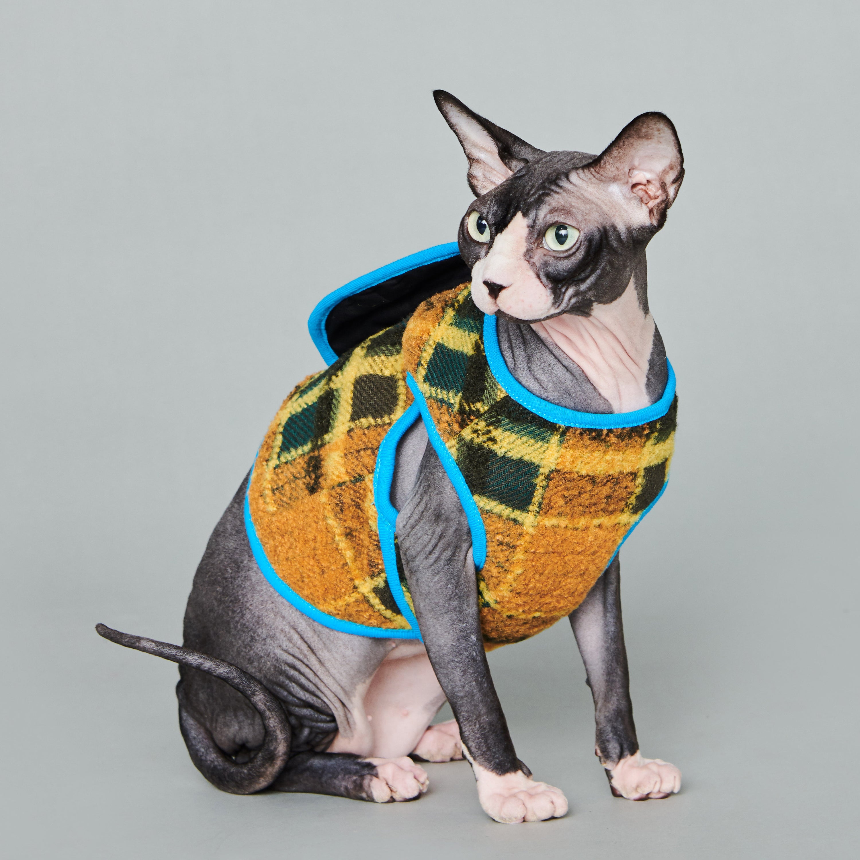 asteroid / plaid gilet mustard & green