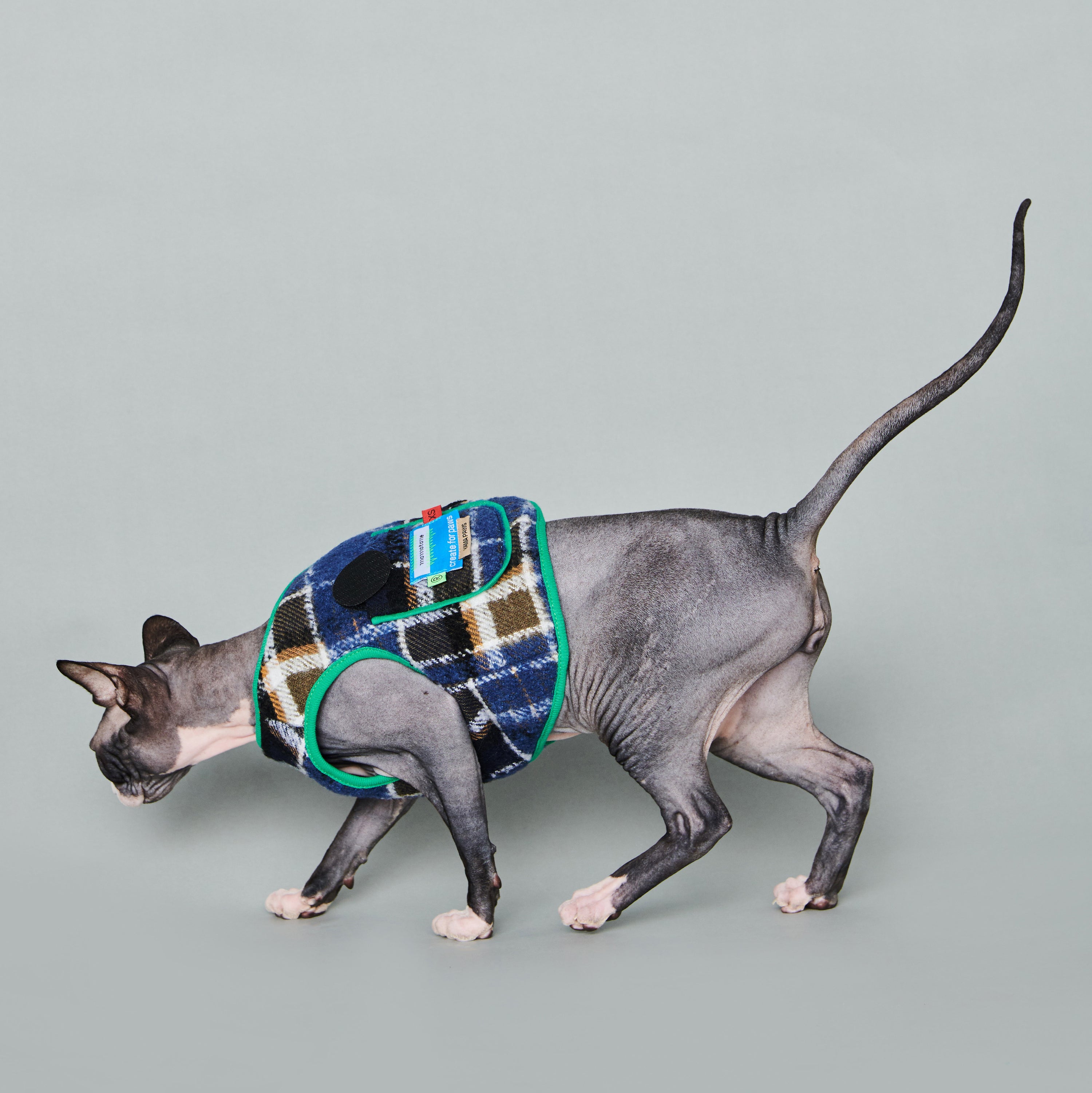 asteroid / plaid gilet navy