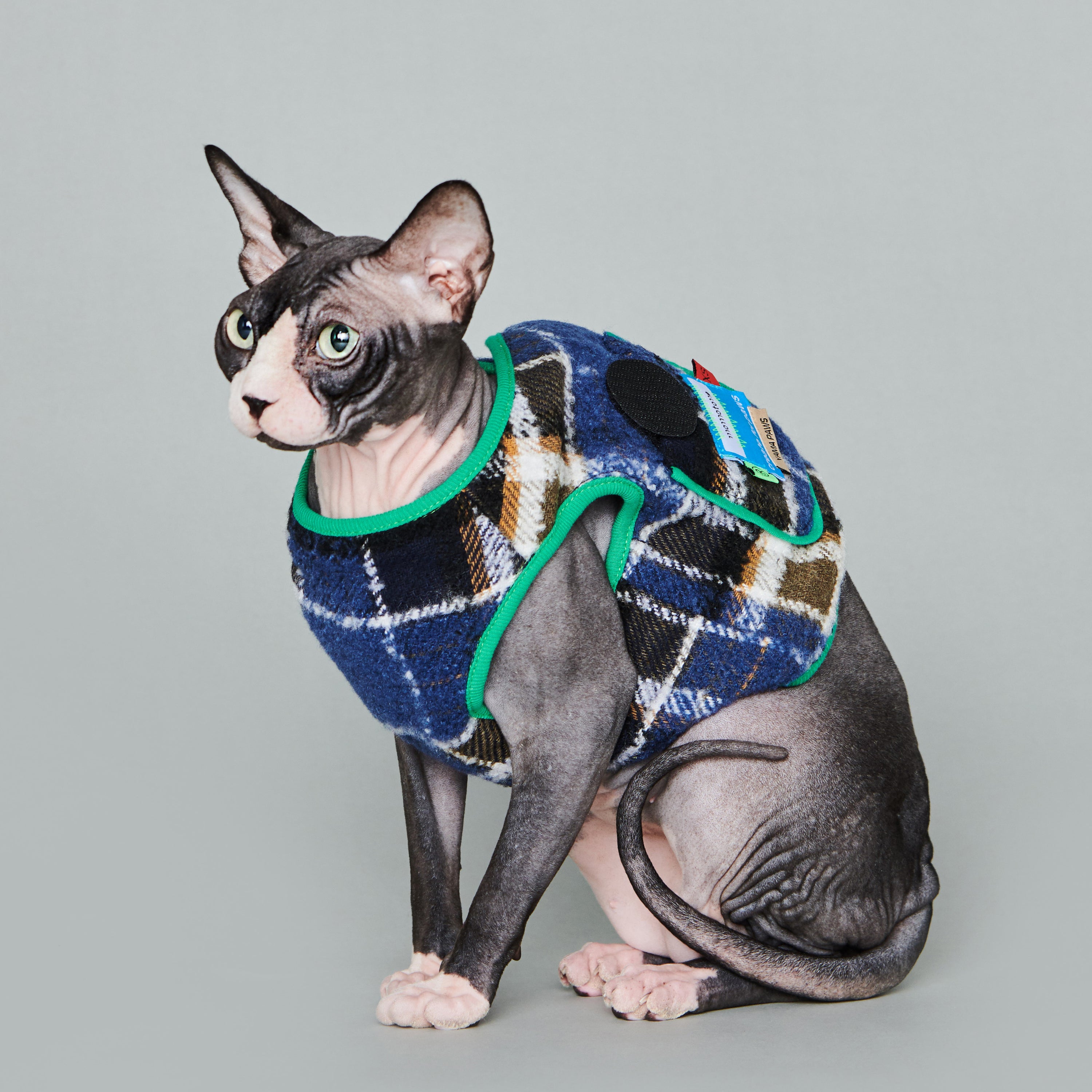 asteroid / plaid gilet navy