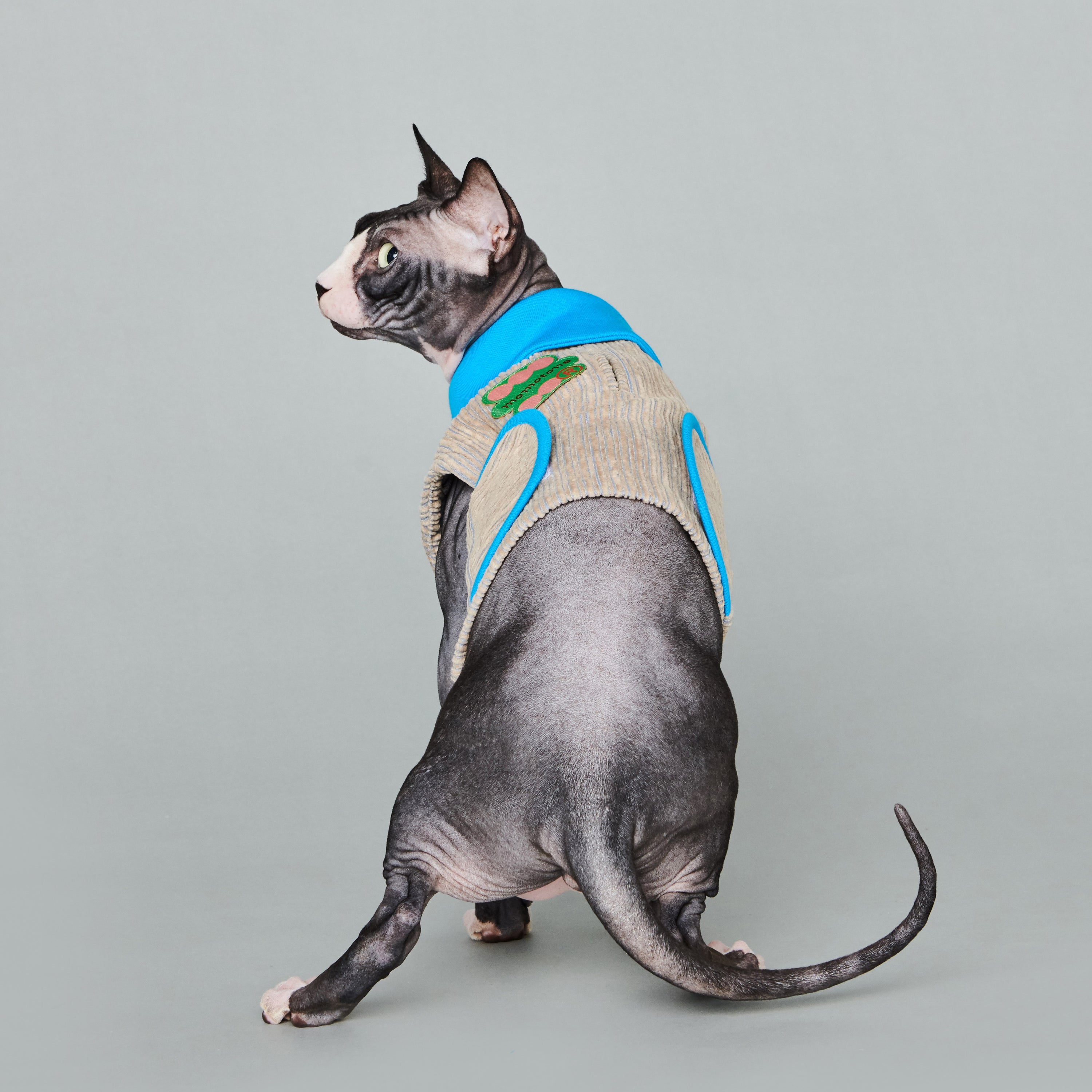 asteroid / ren polo top turquoise