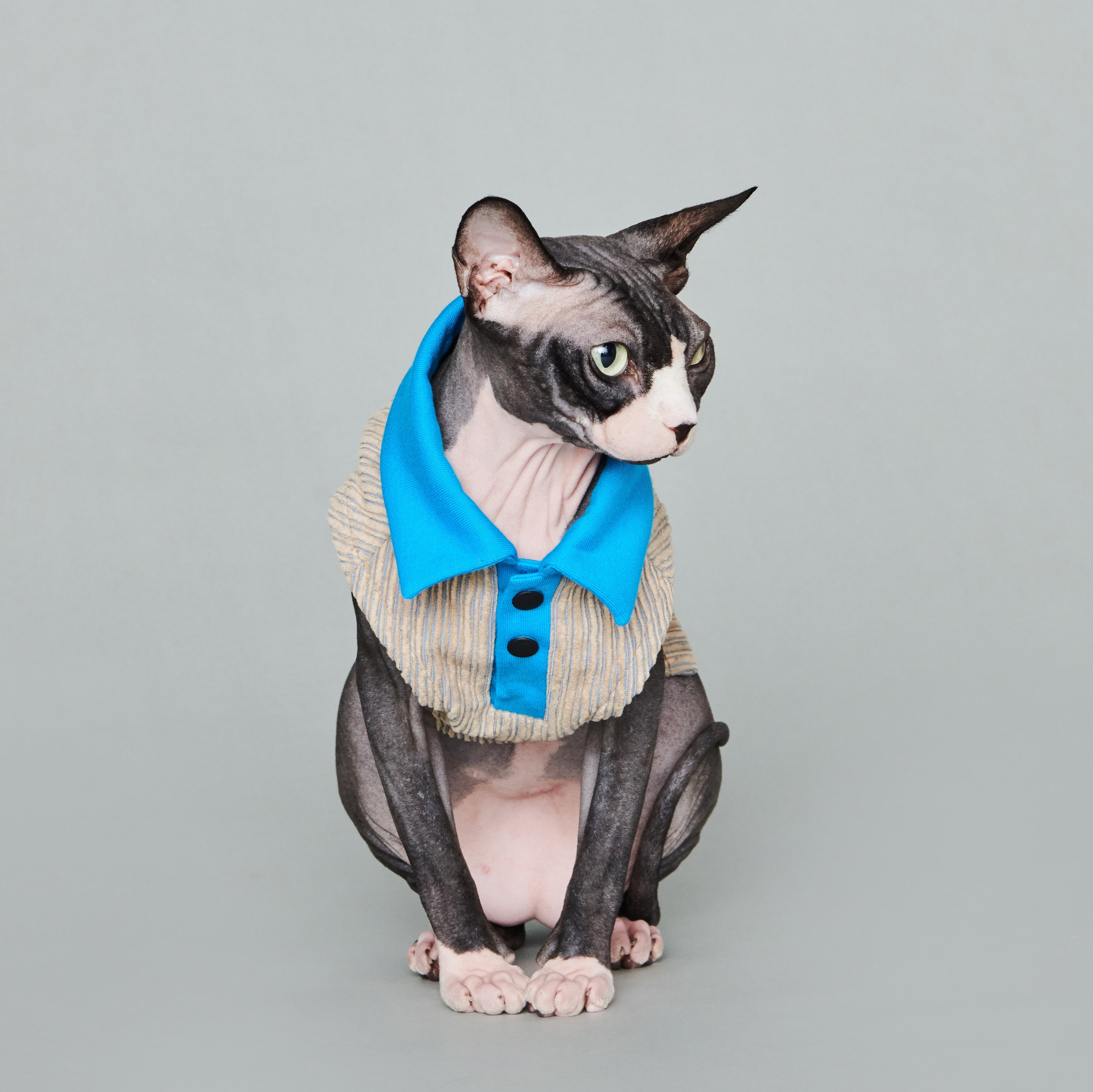 asteroid / ren polo top turquoise