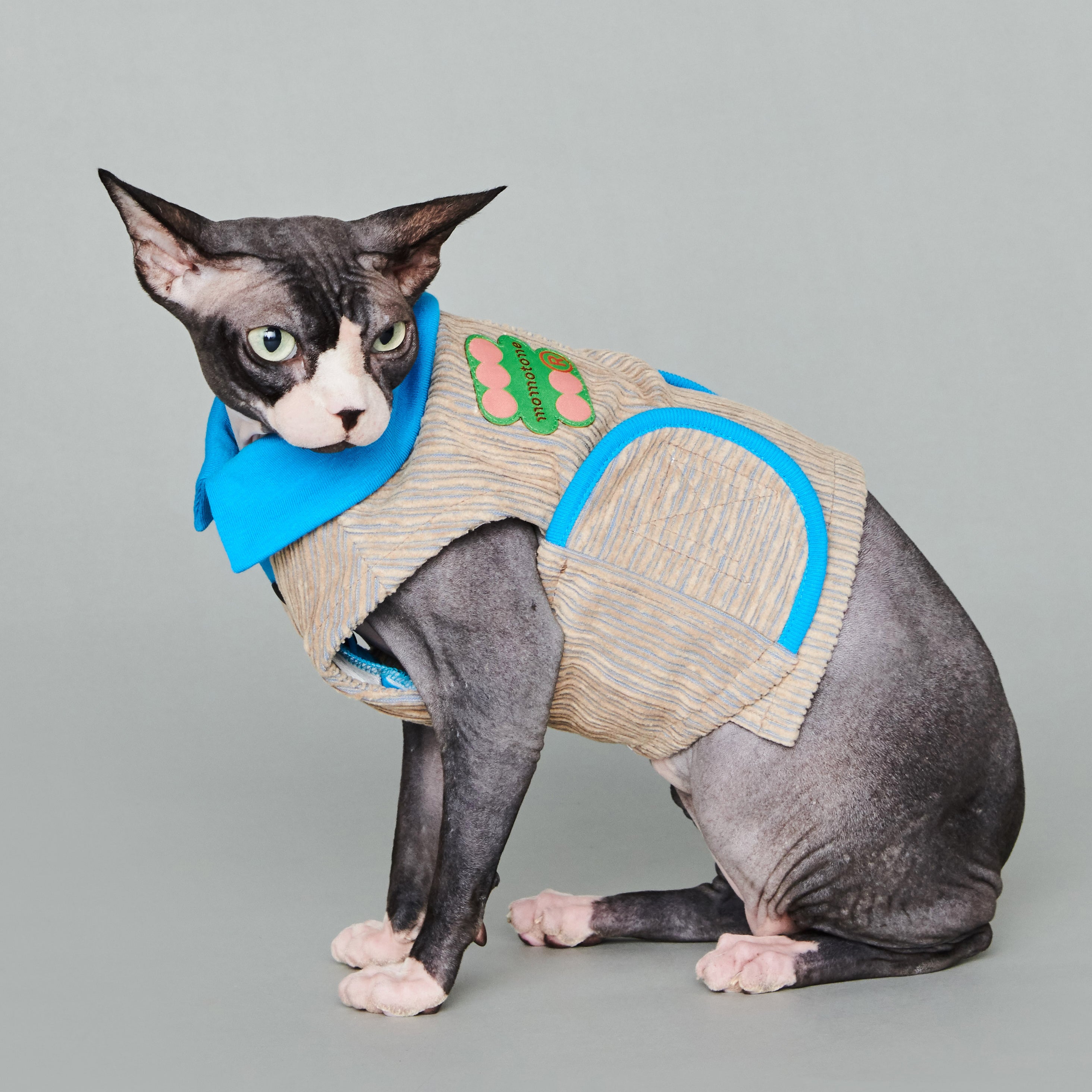 asteroid / ren polo top turquoise