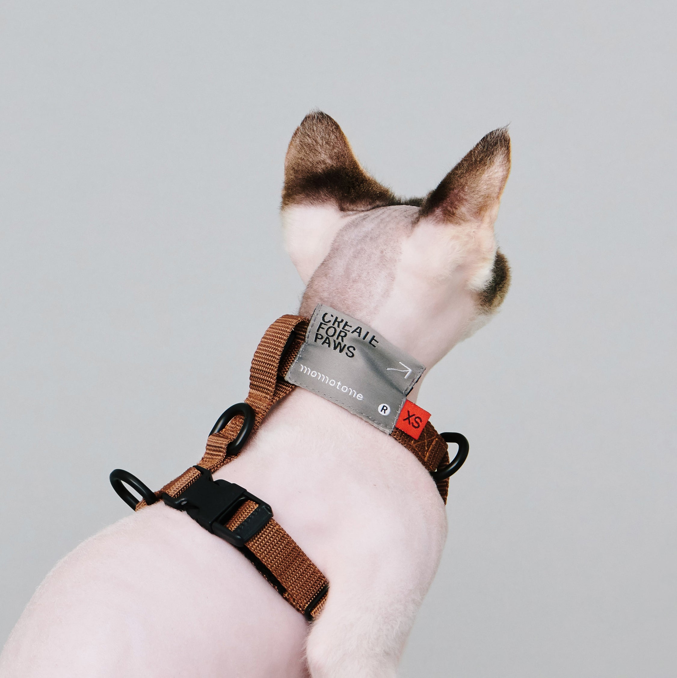 yama paws / 1°0 harness extender olive