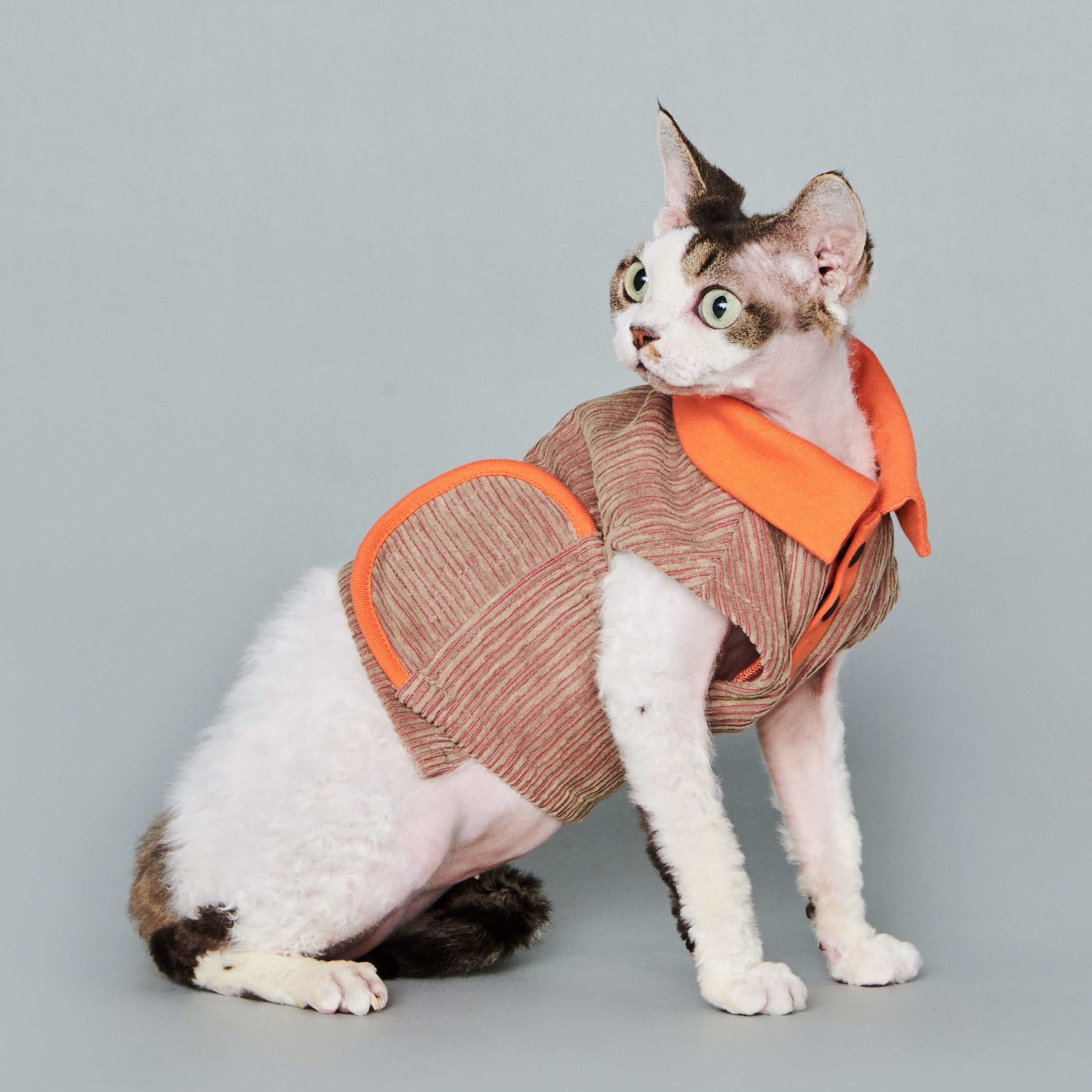 asteroid / ren polo top orange