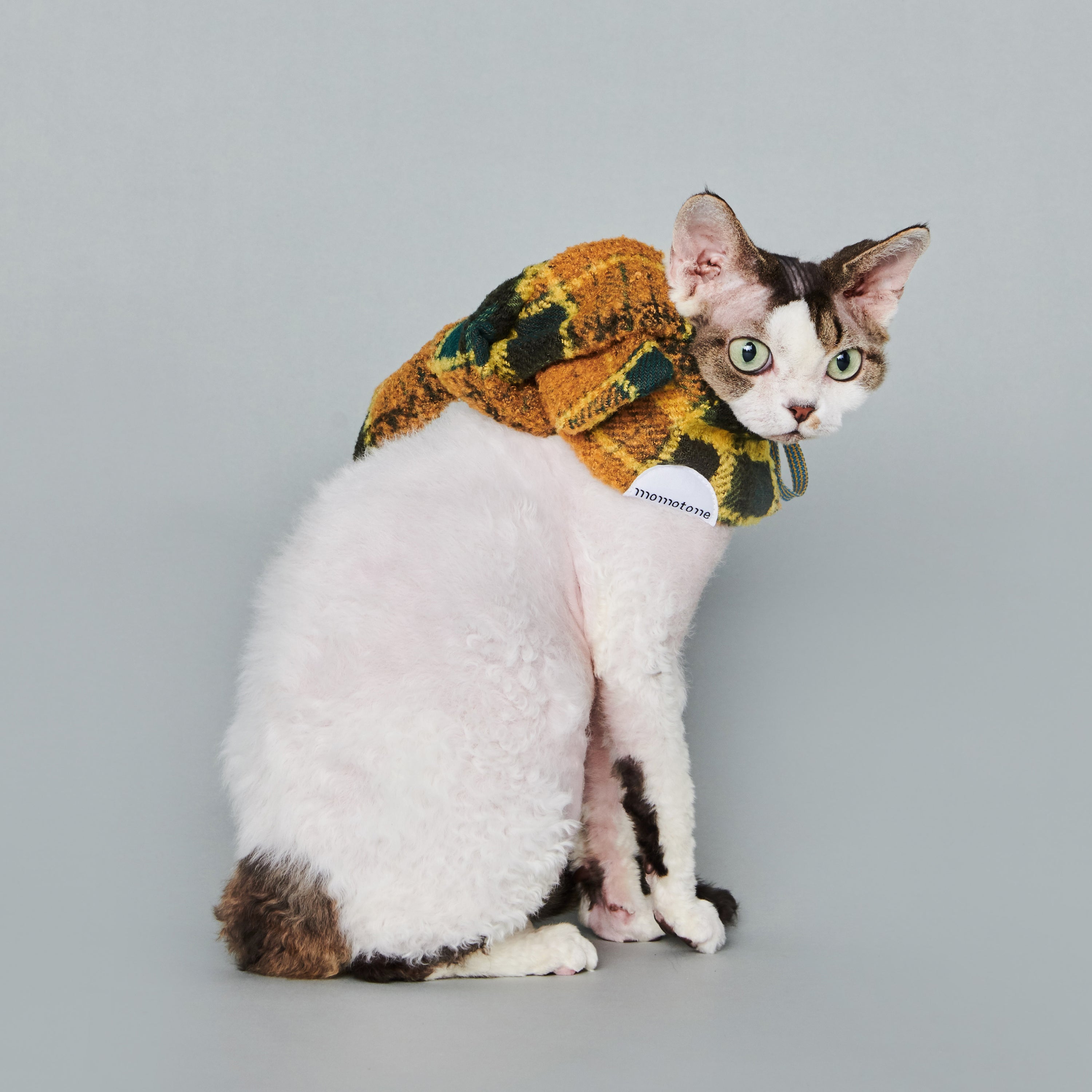 asteroid / plaid neckwear mustard & green