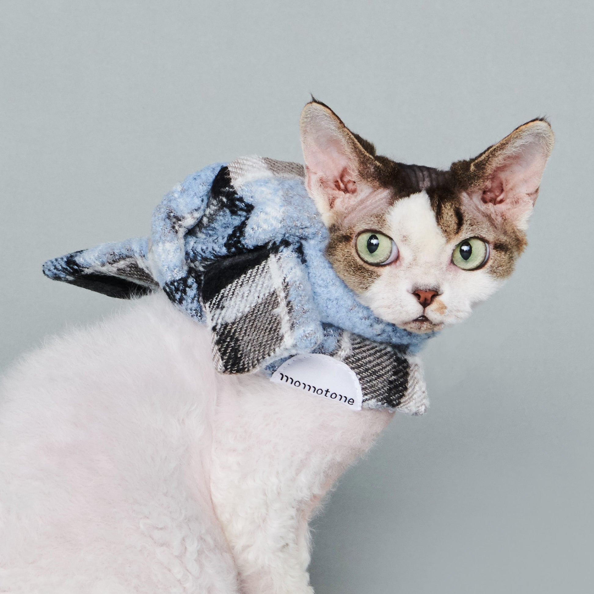 asteroid / plaid neckwear light blue