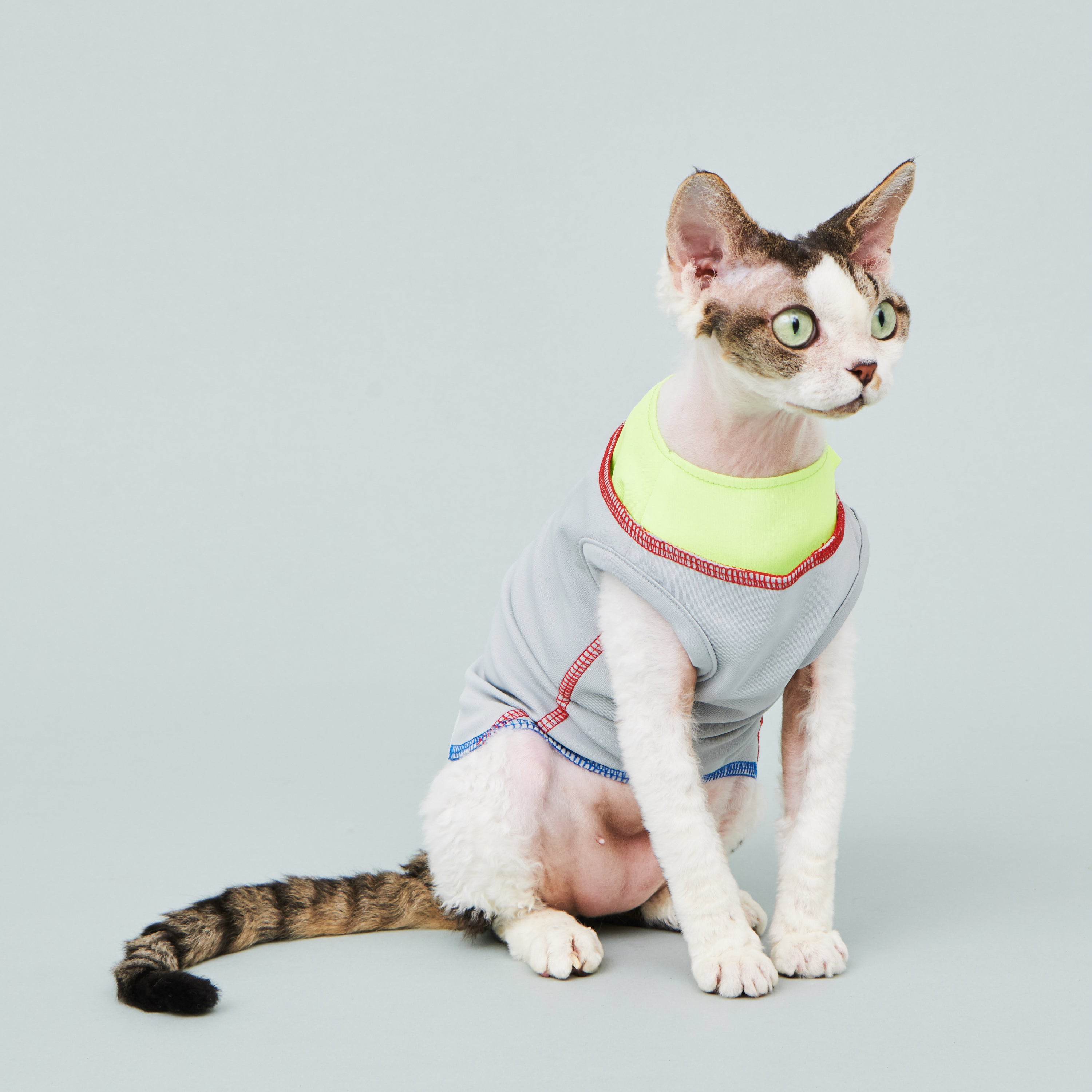 asteroid / cooling vest grey spark