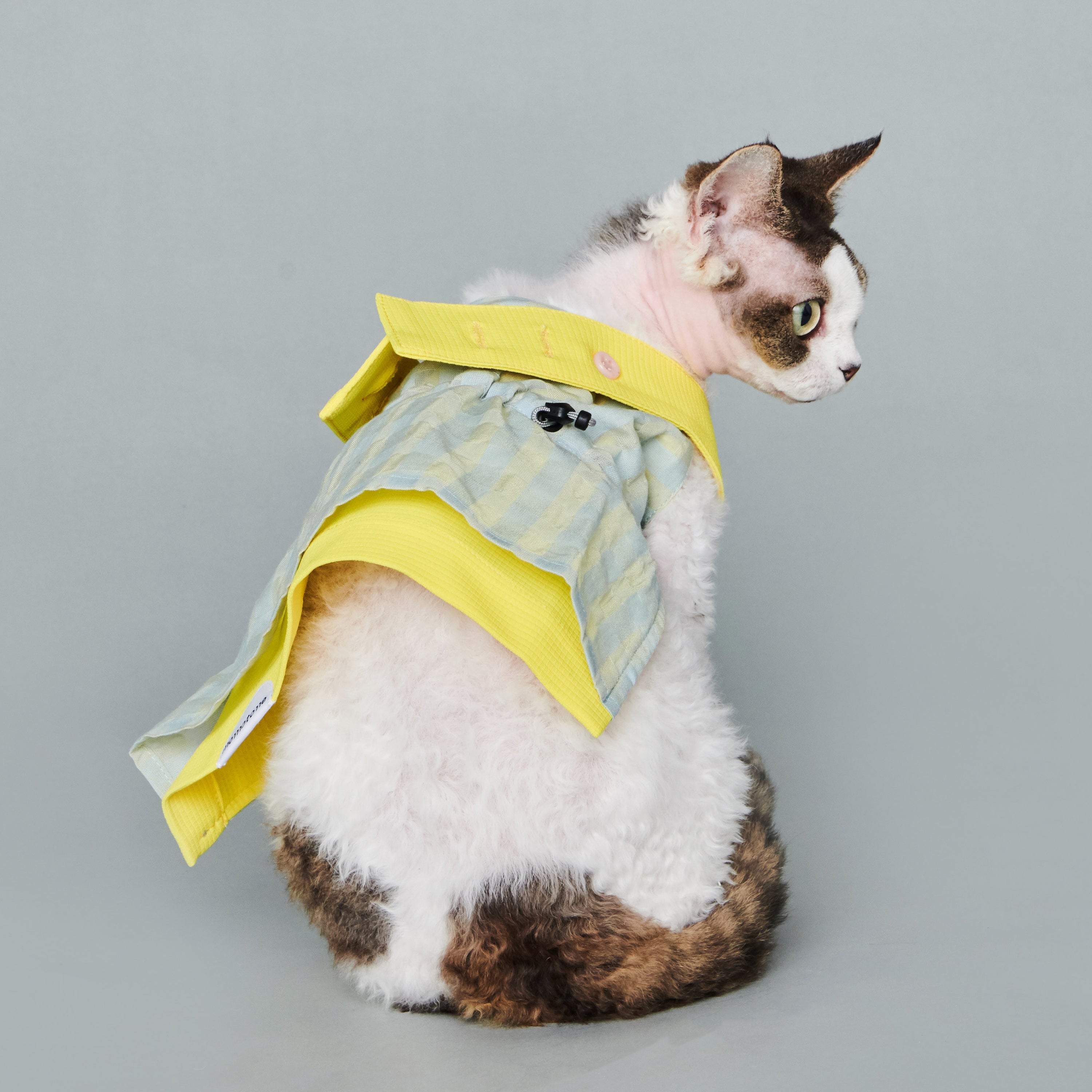 asteroid / bergamot pinafore