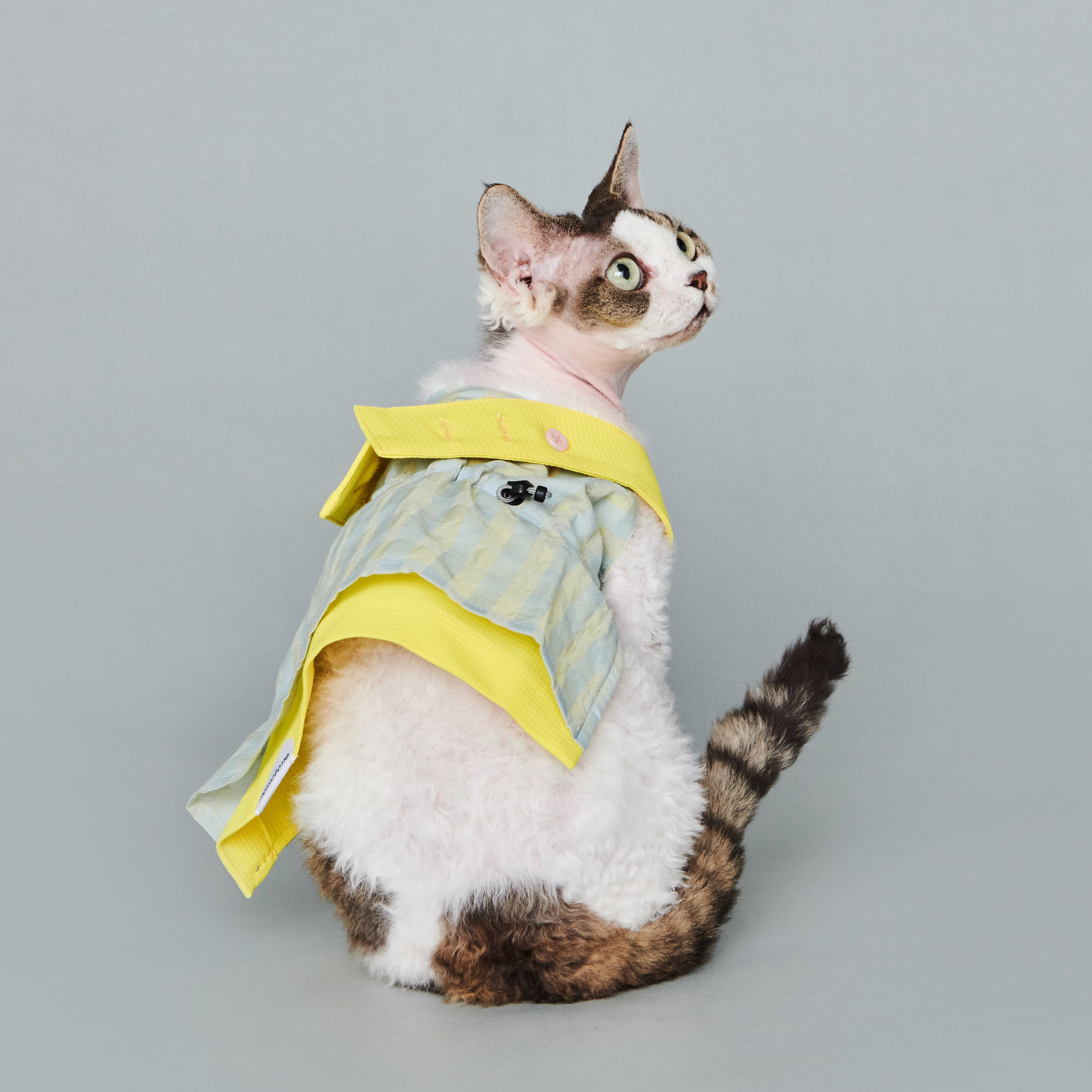asteroid / bergamot pinafore