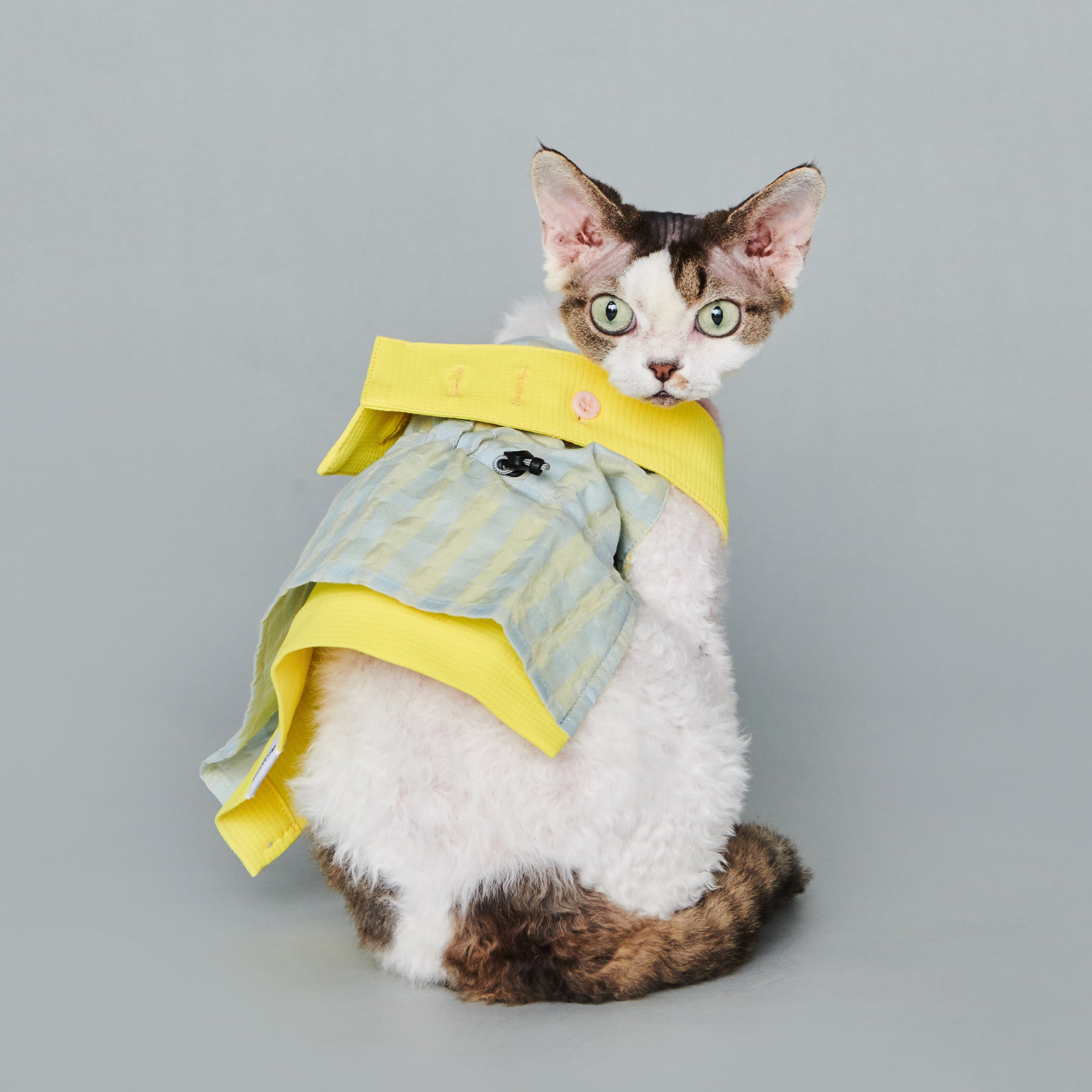 asteroid / bergamot pinafore