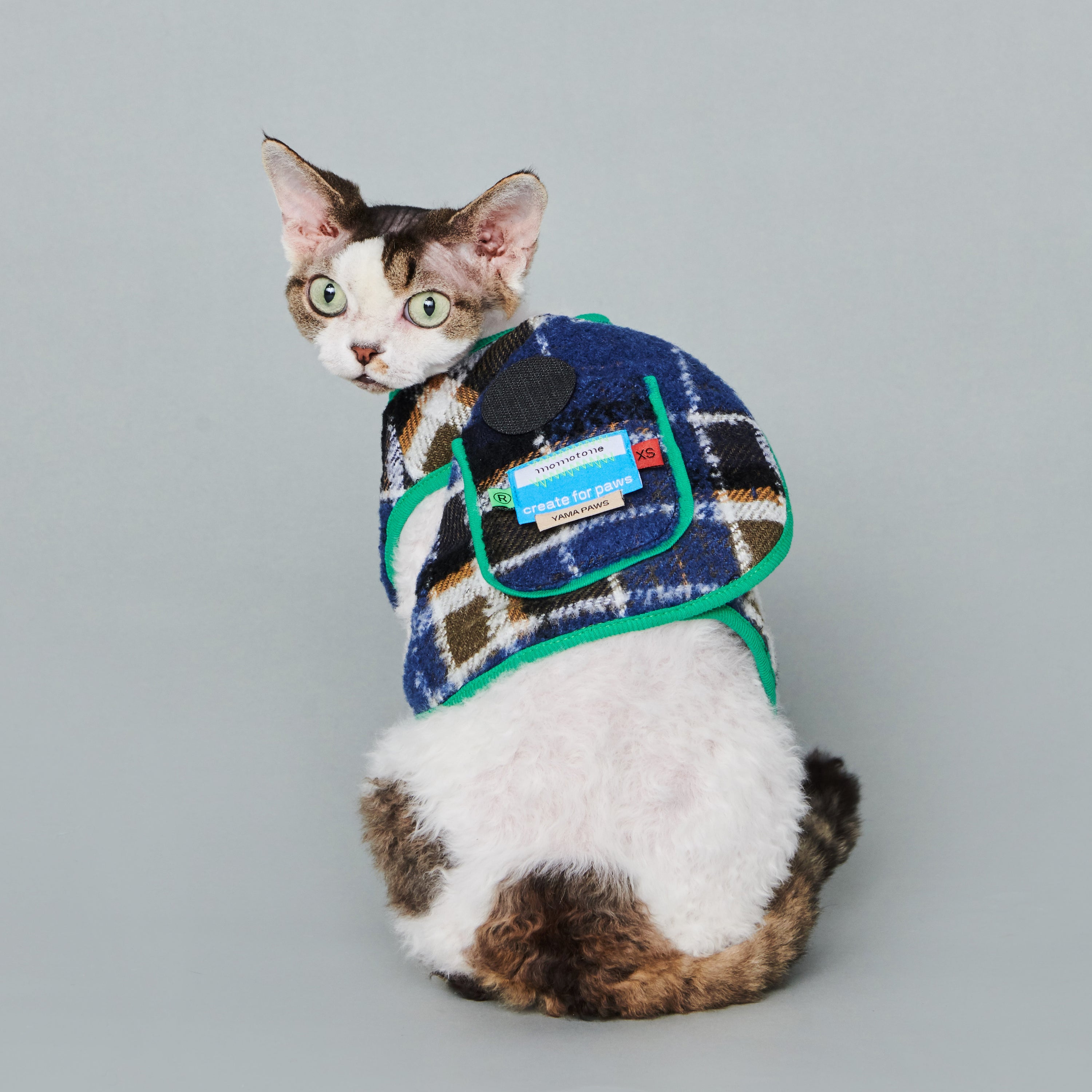 asteroid / plaid gilet navy