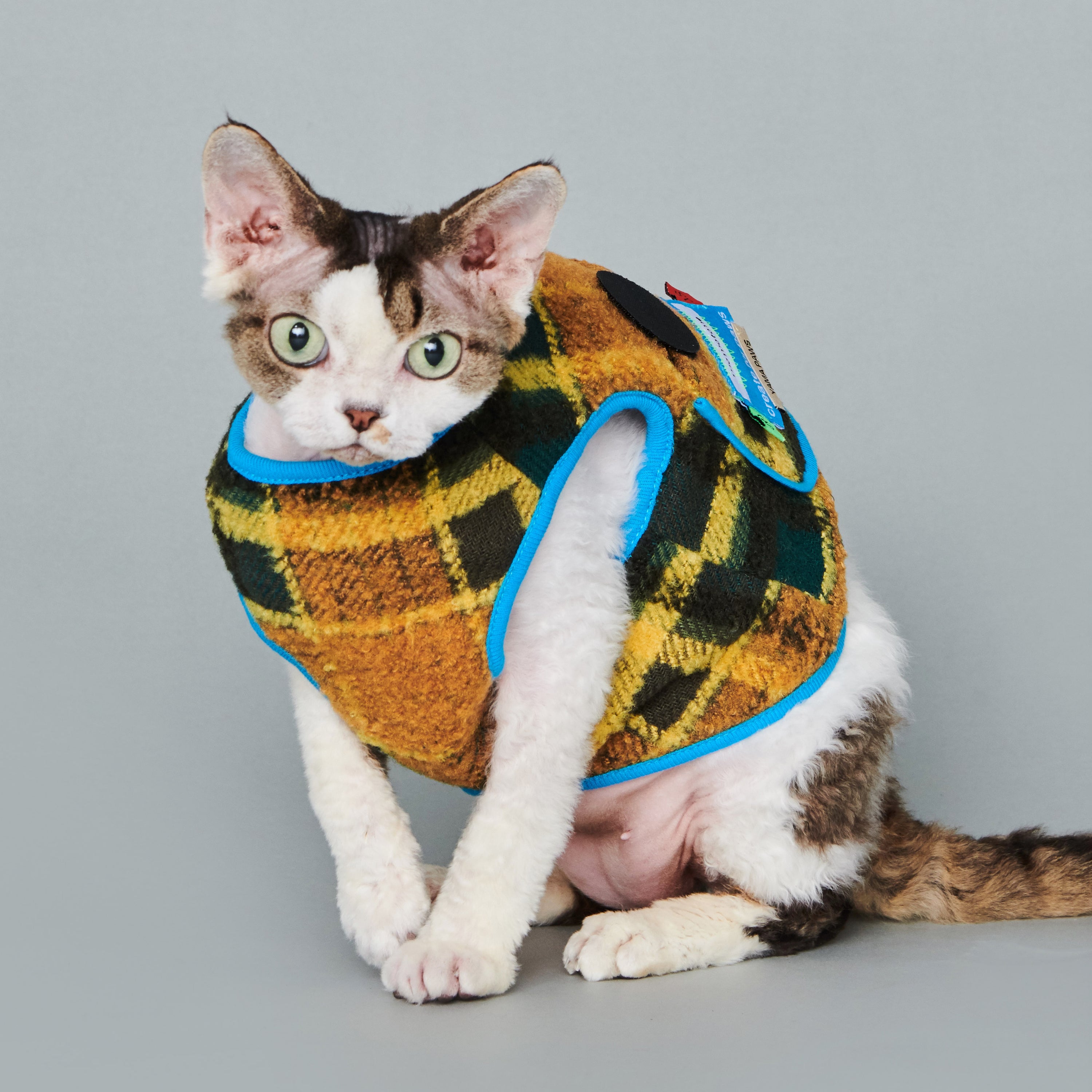 asteroid / plaid gilet mustard & green