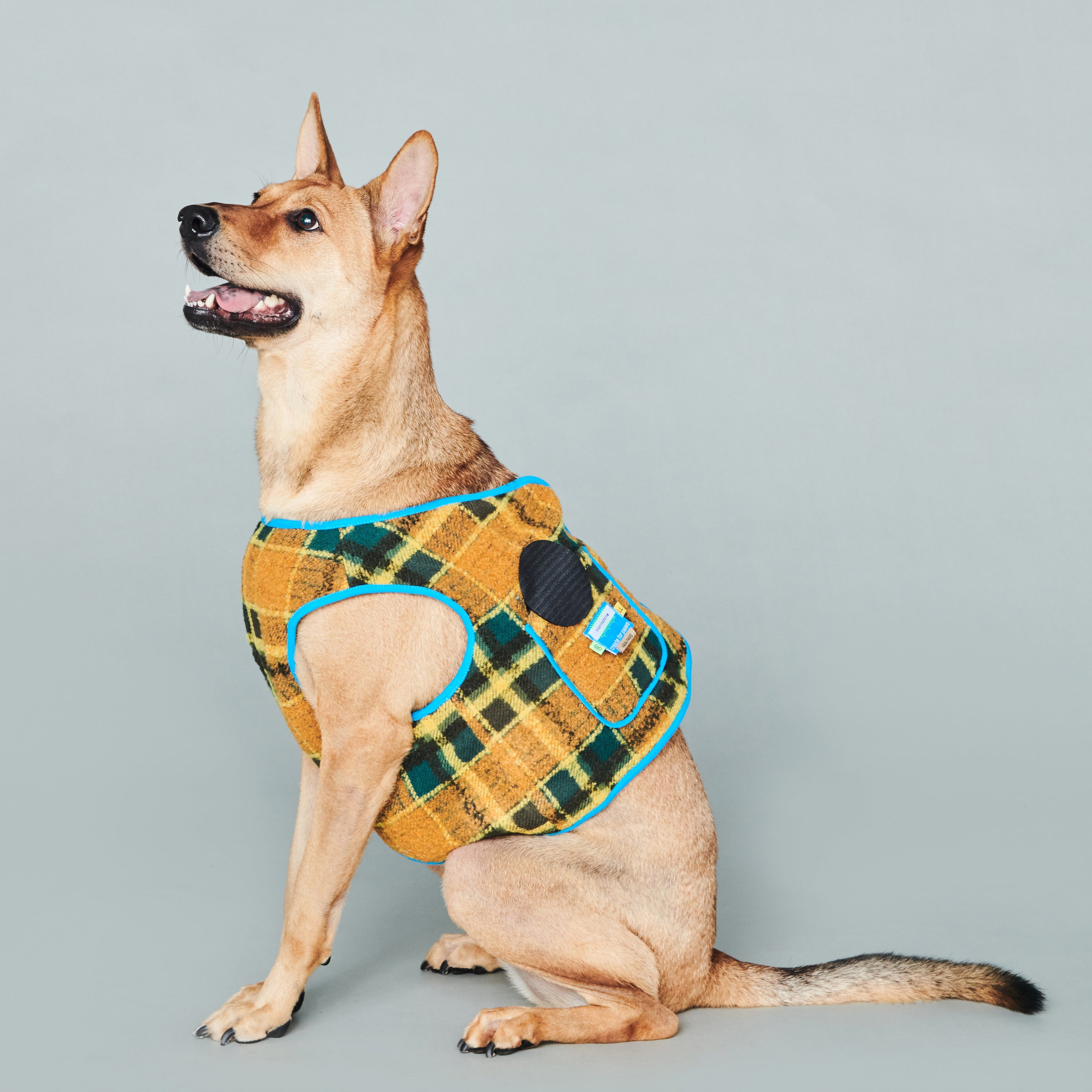 asteroid / plaid gilet mustard & green