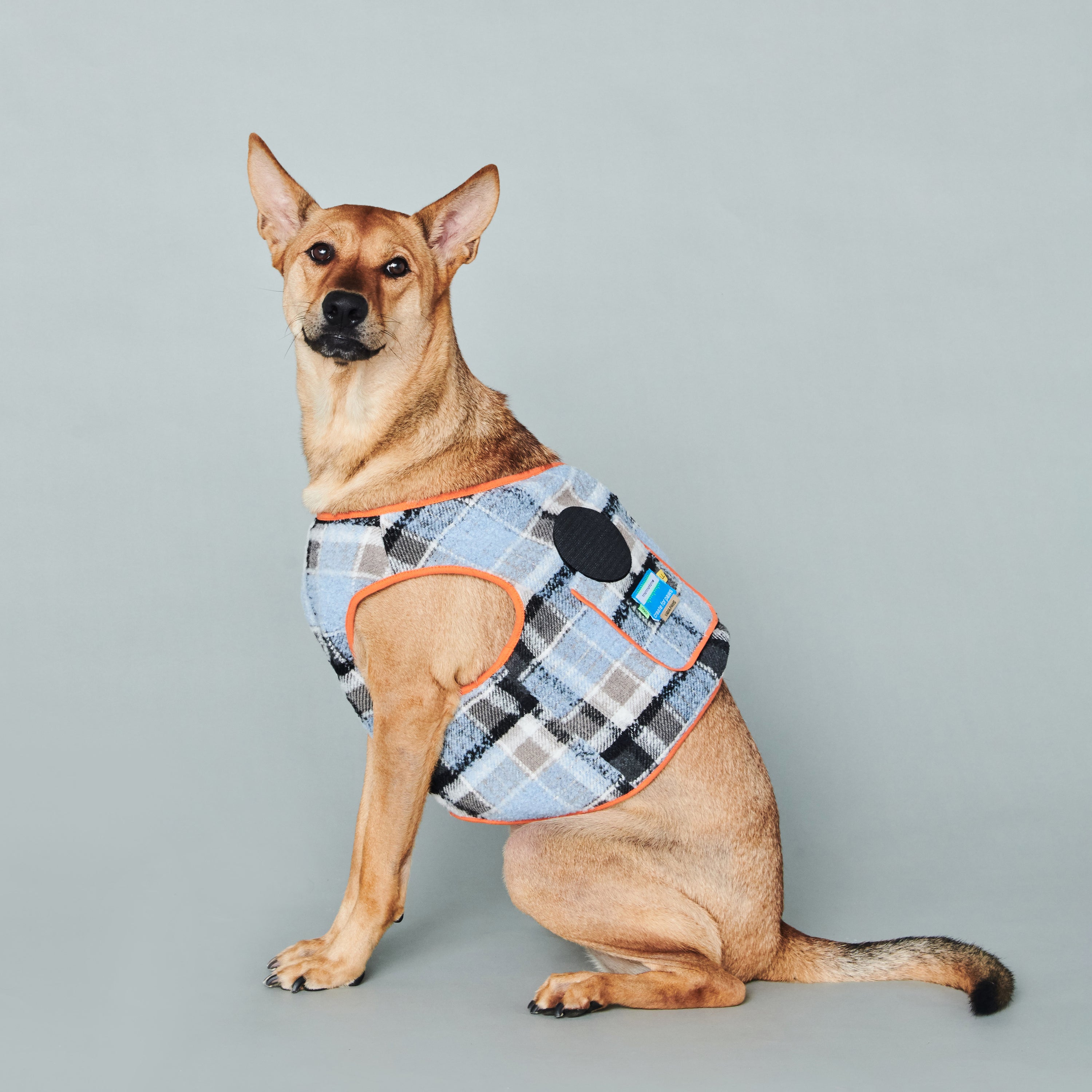 asteroid / plaid gilet light blue