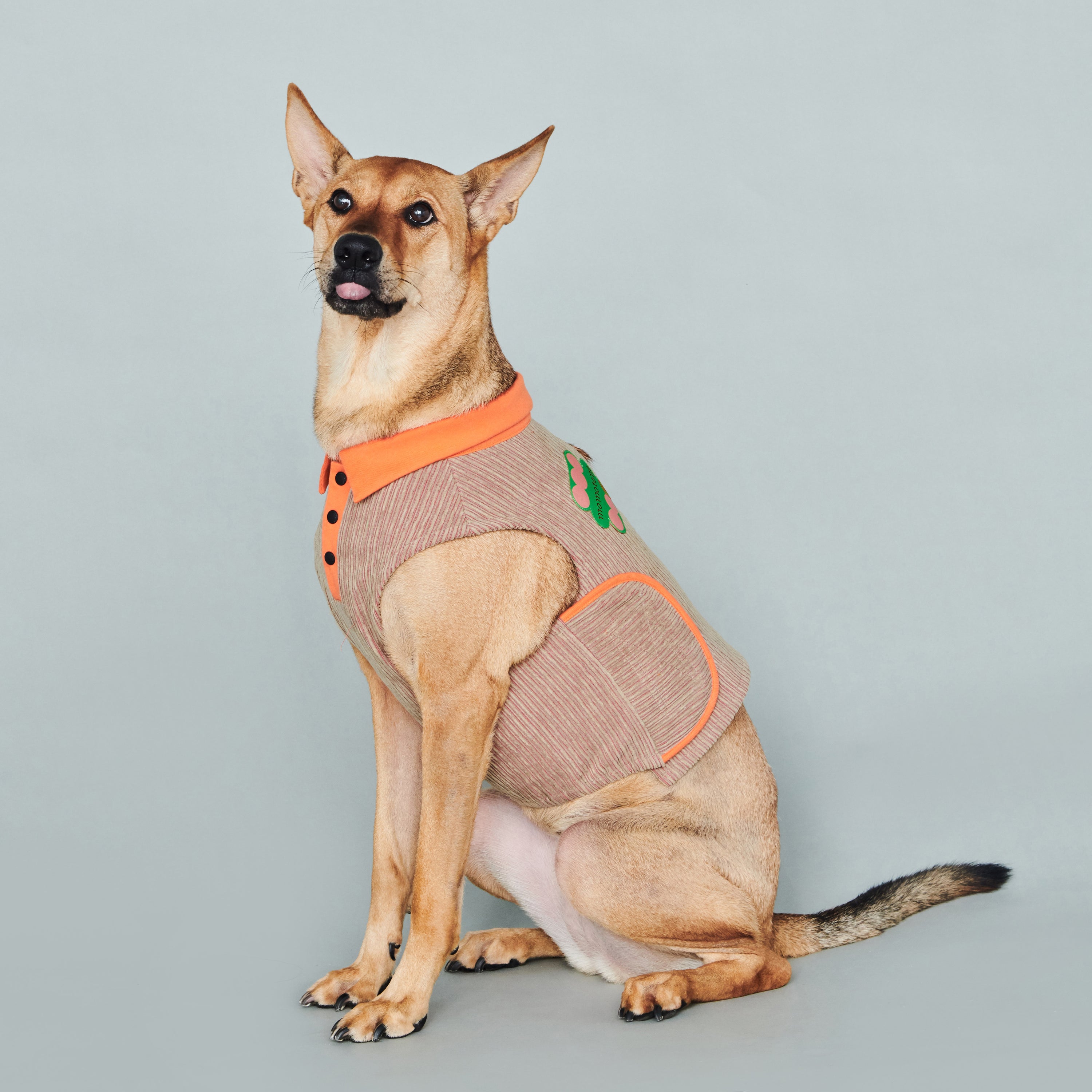 asteroid / ren polo top orange