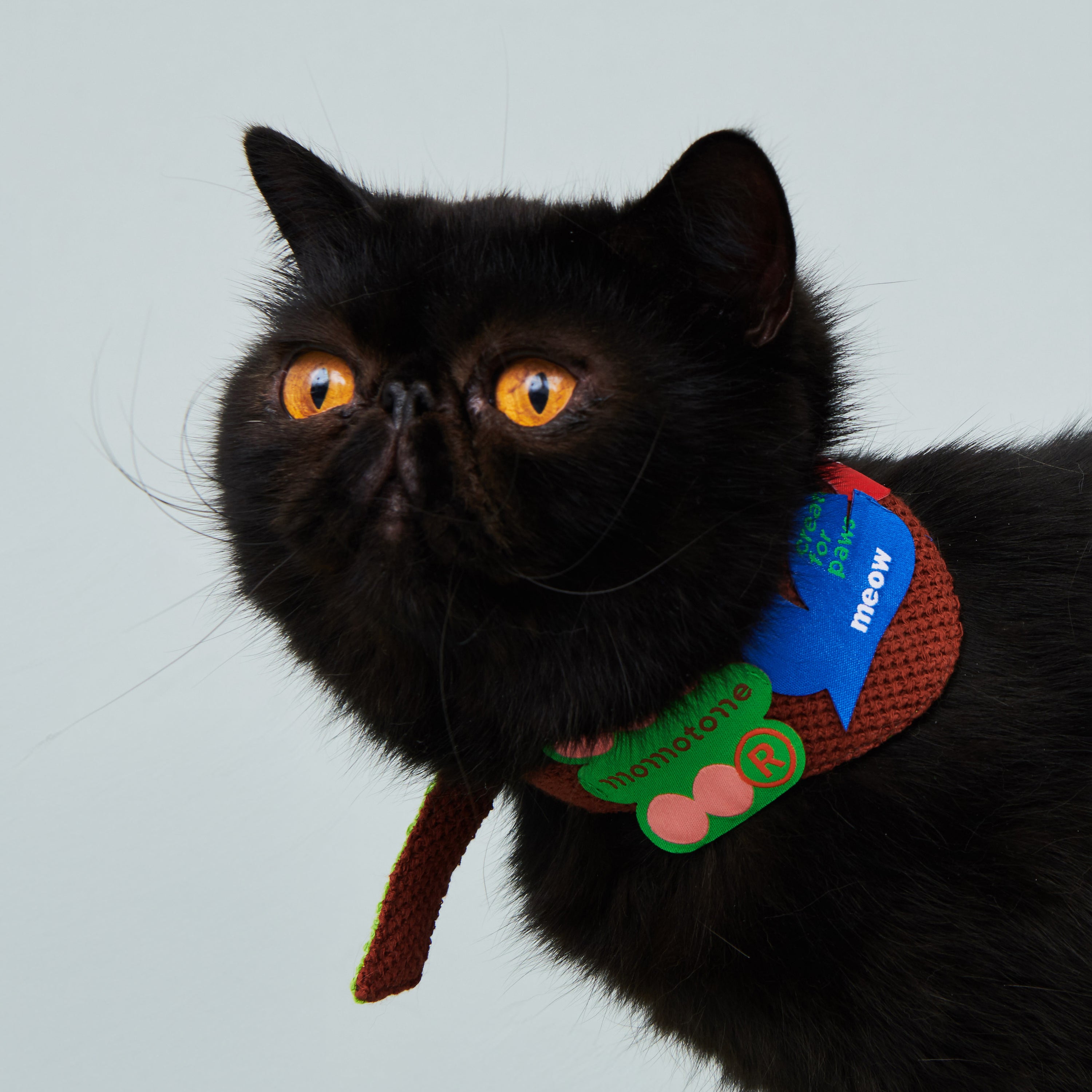 asteroid / meow triangle scarf brown