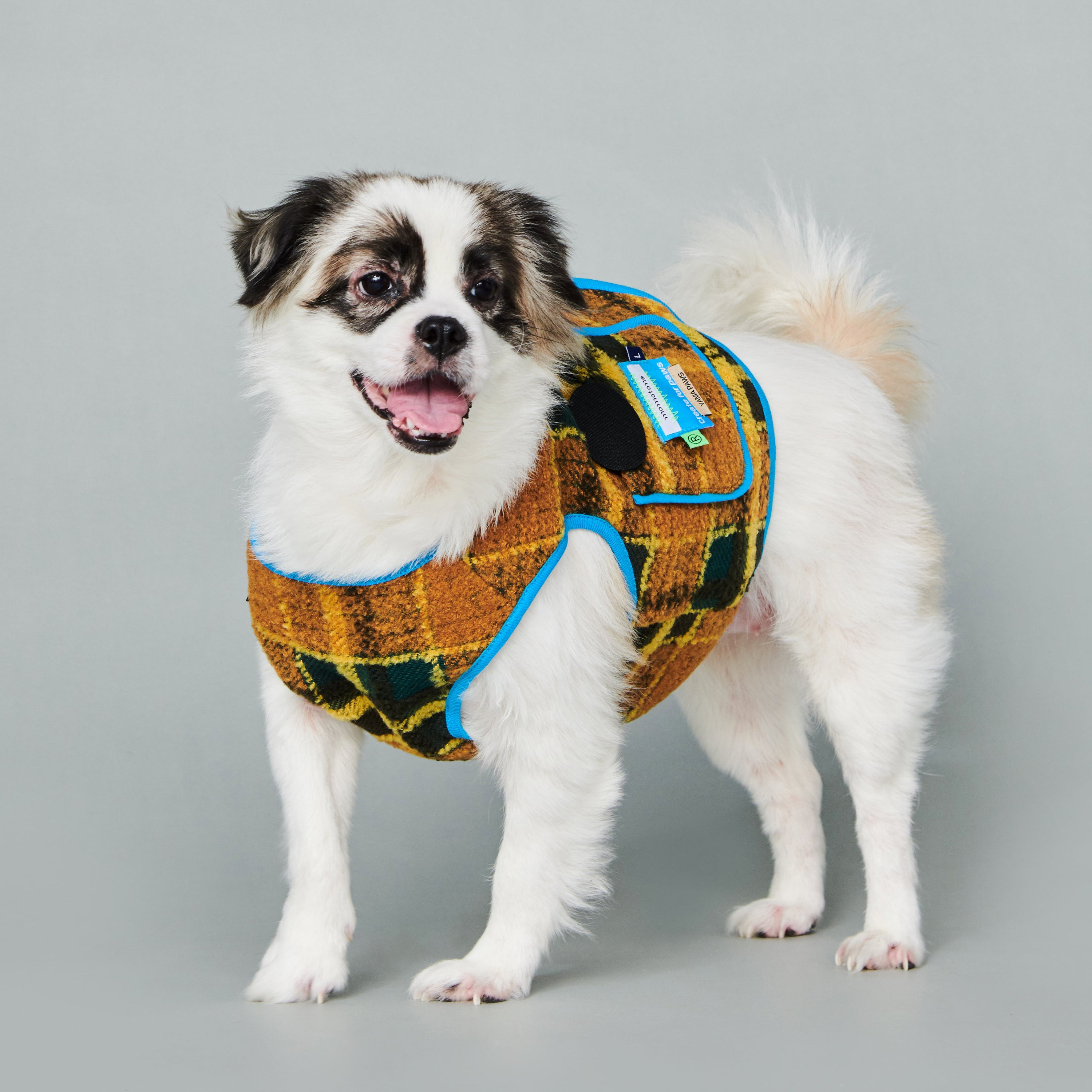 asteroid / plaid gilet mustard & green