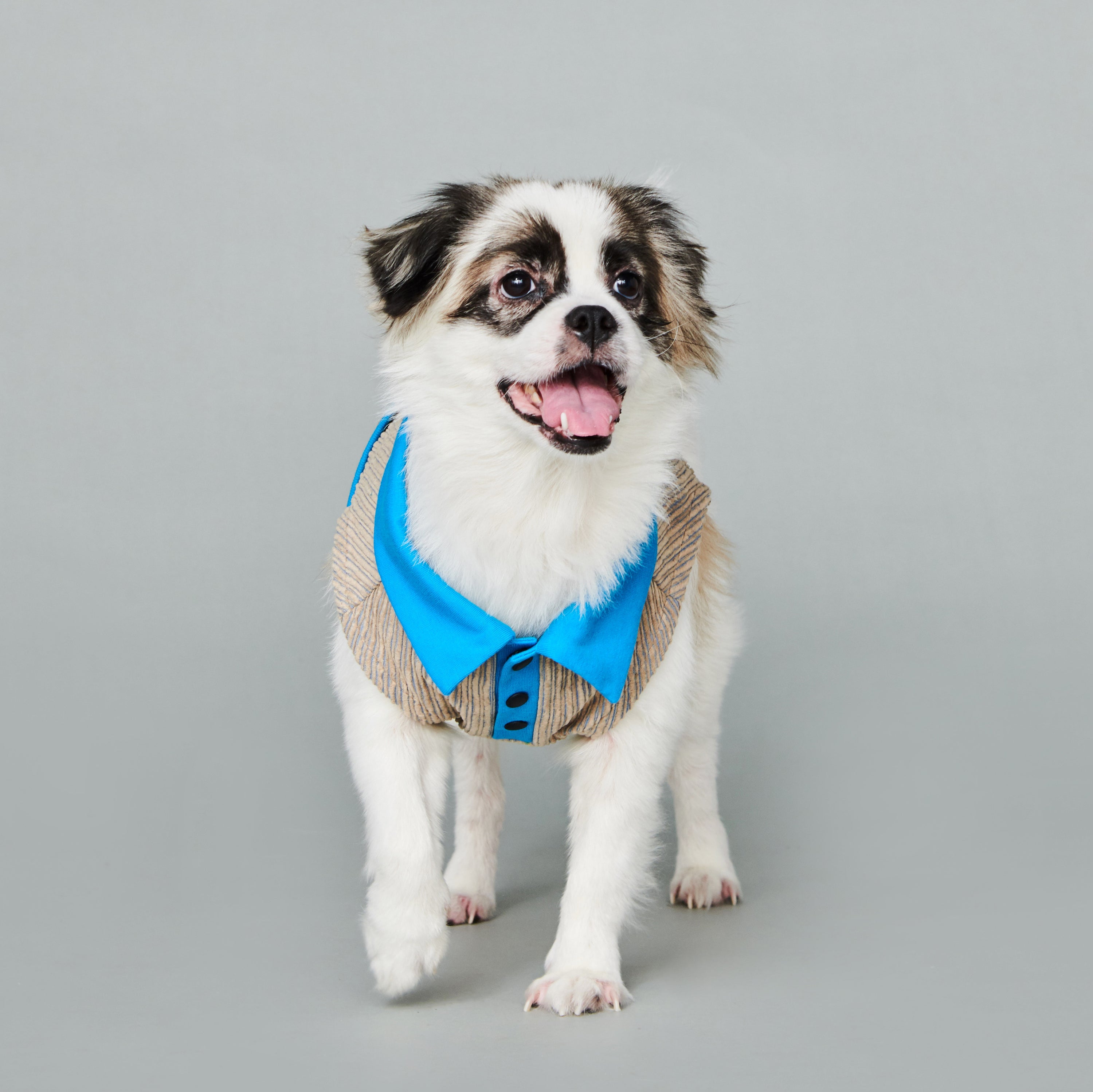 asteroid / ren polo top turquoise