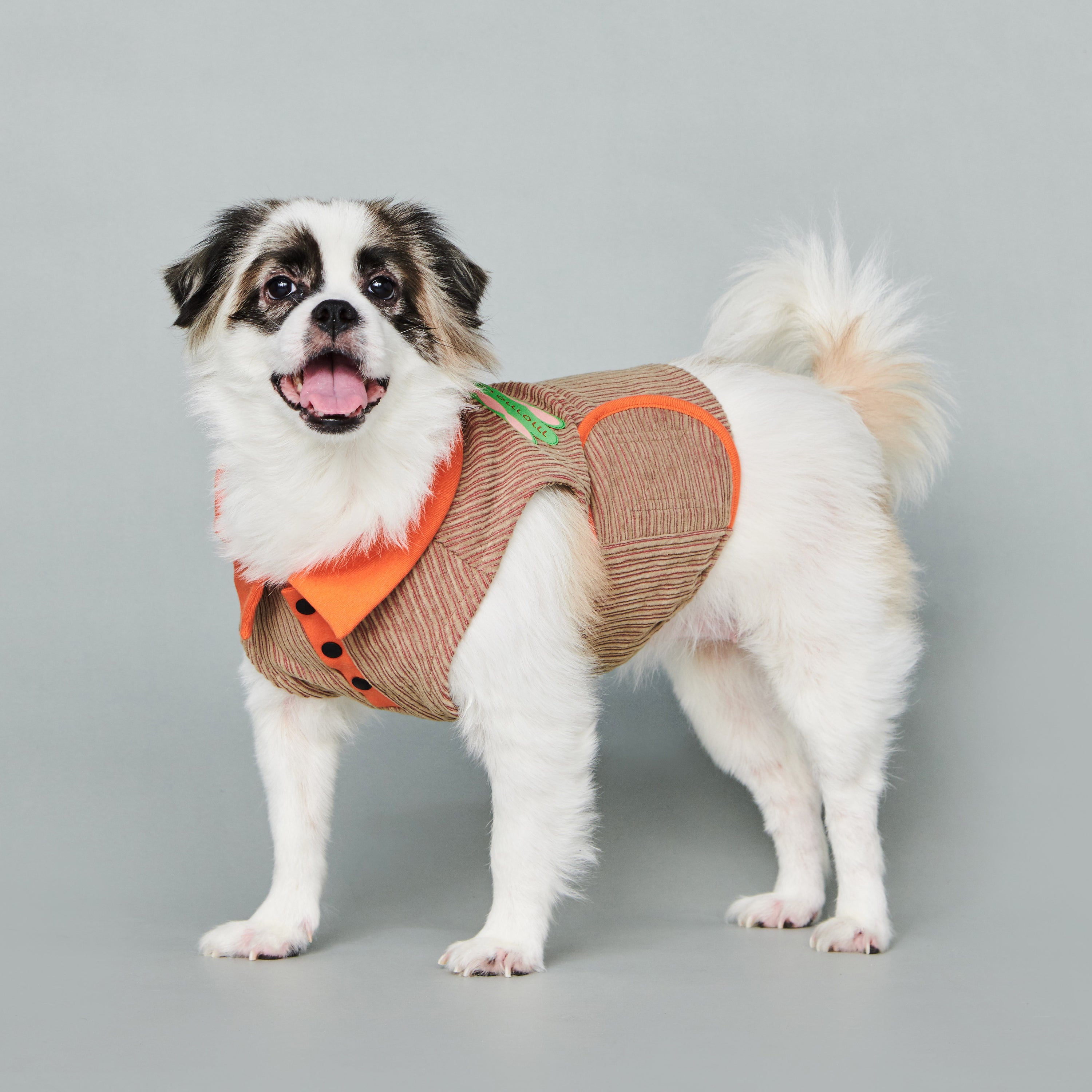 asteroid / ren polo top orange