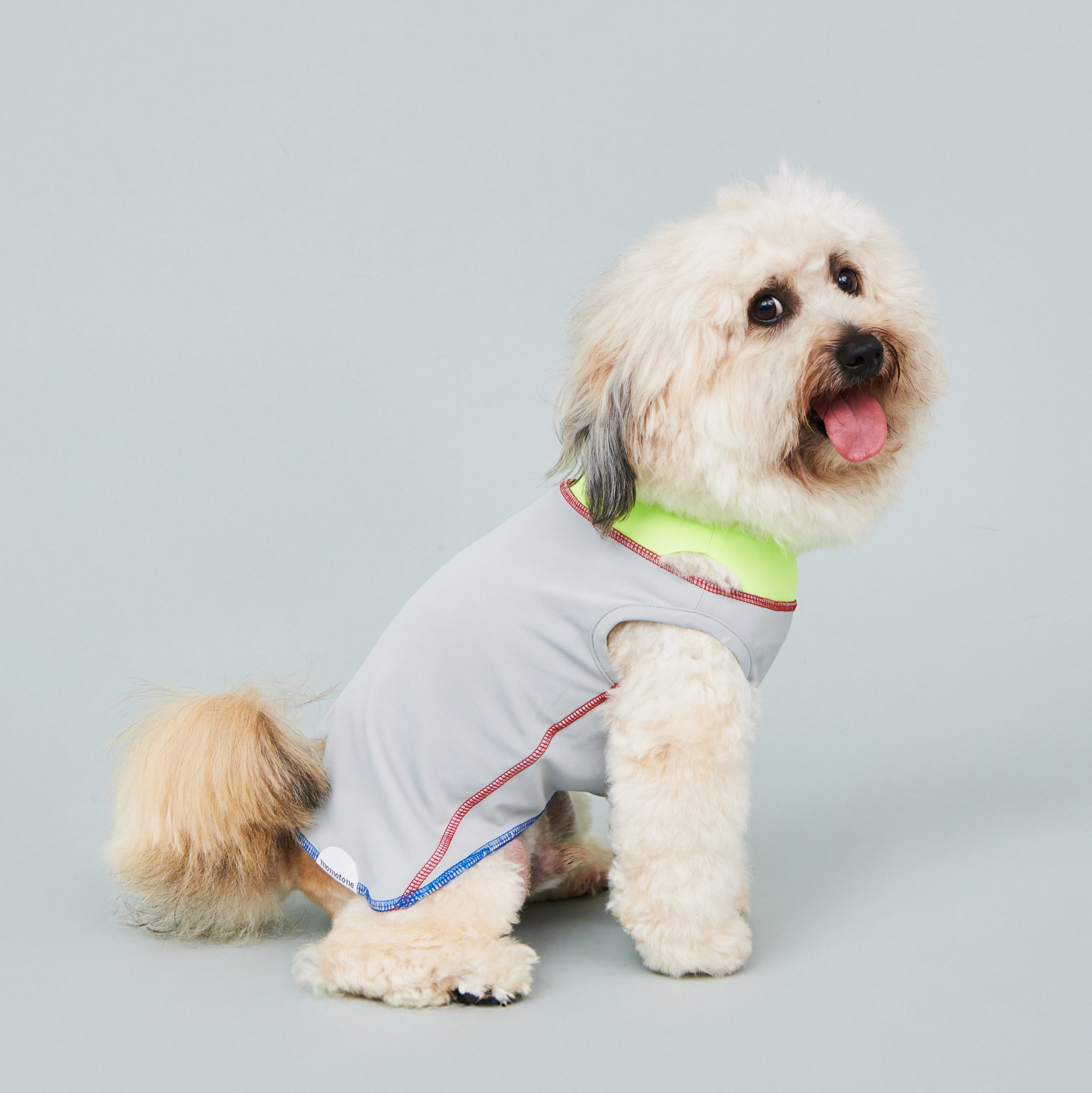 asteroid / cooling vest grey spark