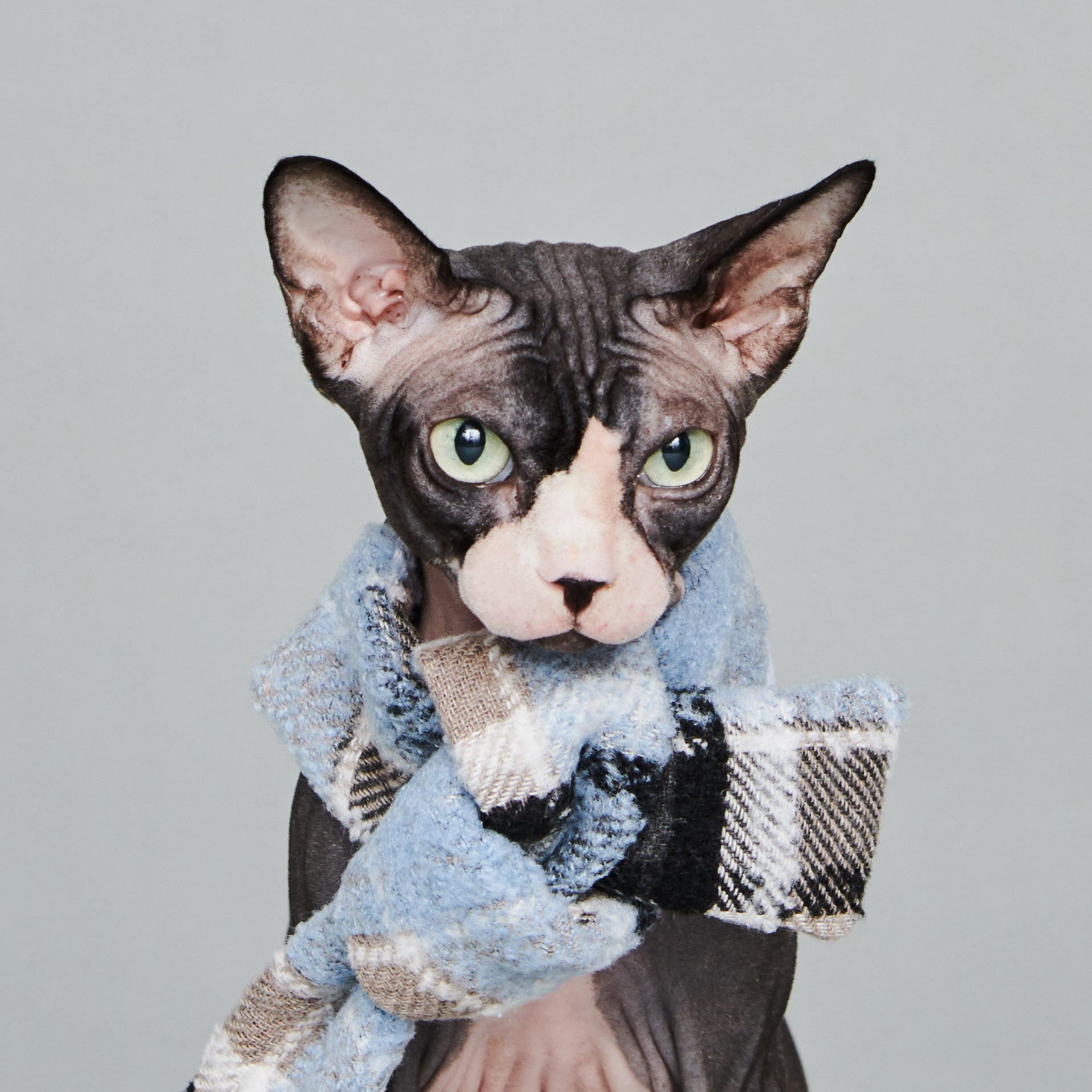 asteroid / plaid neckwear light blue