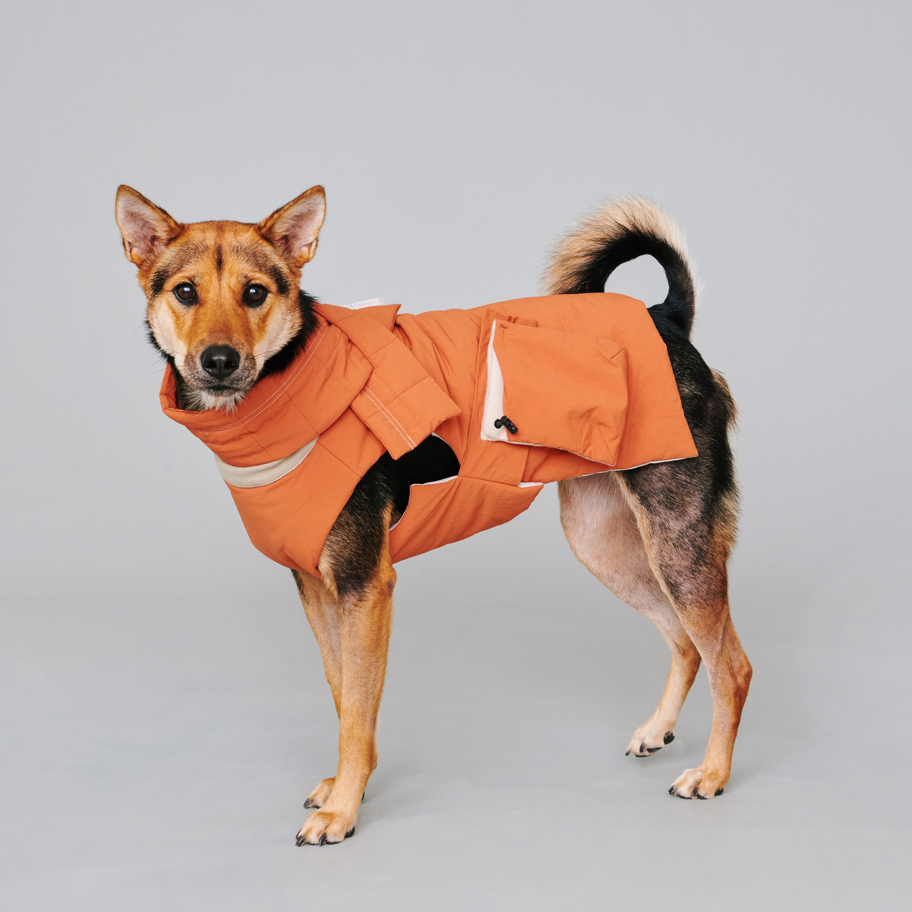 yama paws / nur puffer jacket pumpkin