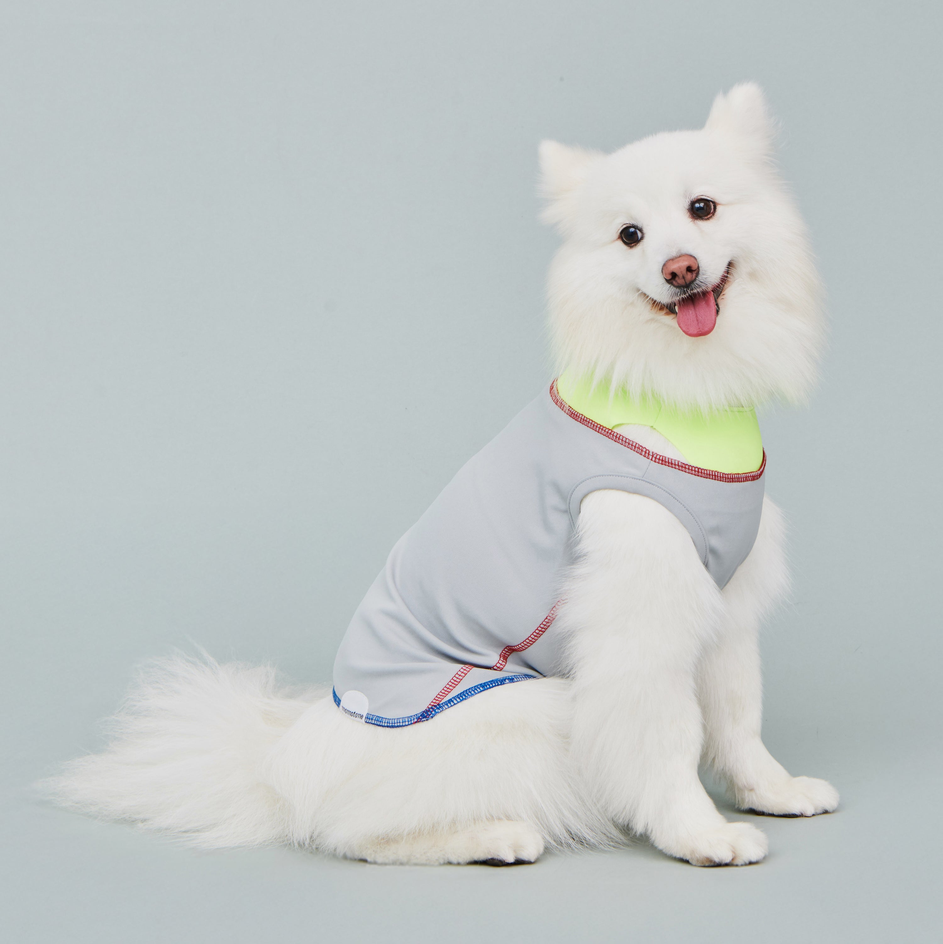 asteroid / cooling vest grey spark
