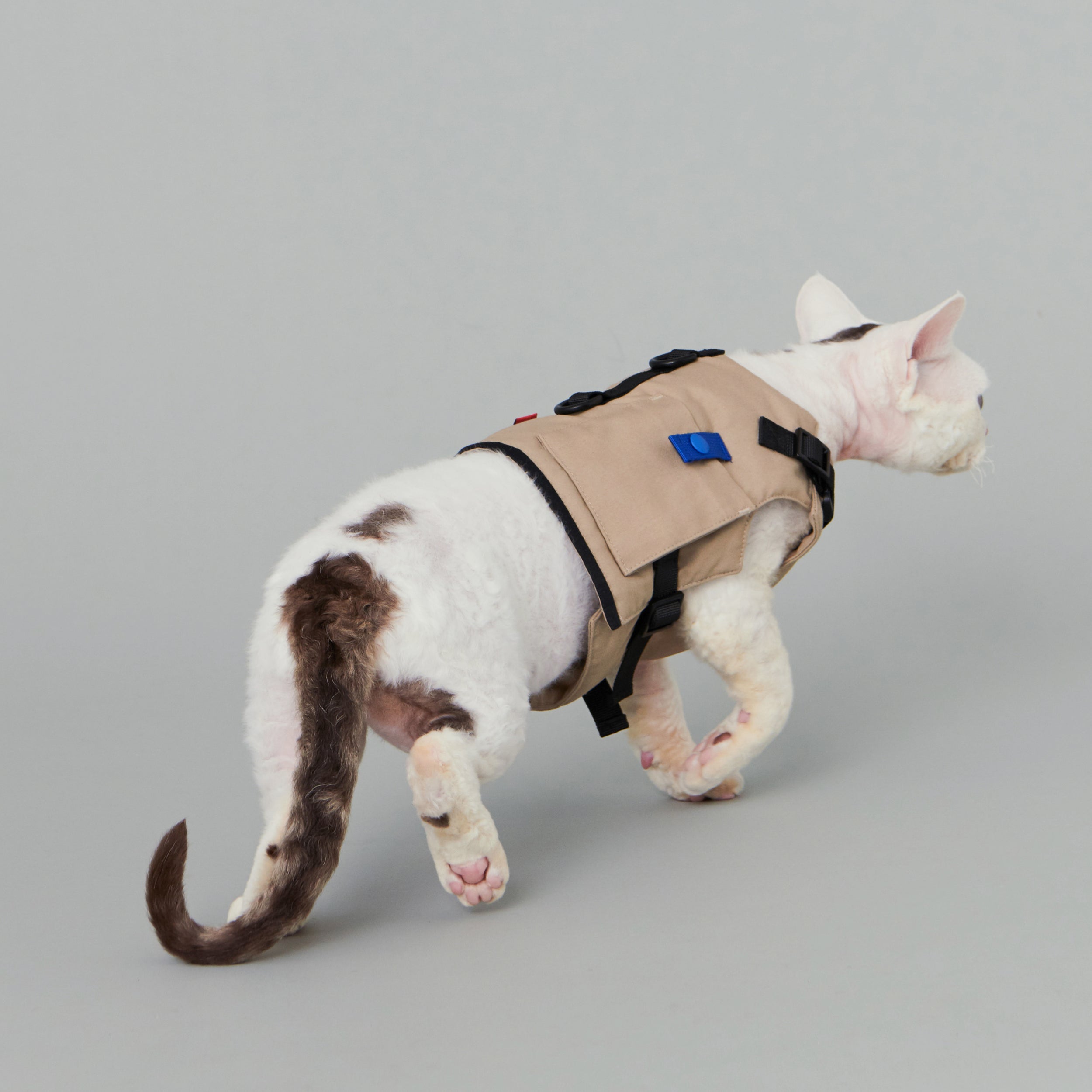 犬服・アクセサリー yama ac17c05977228f875eab40b67695a3