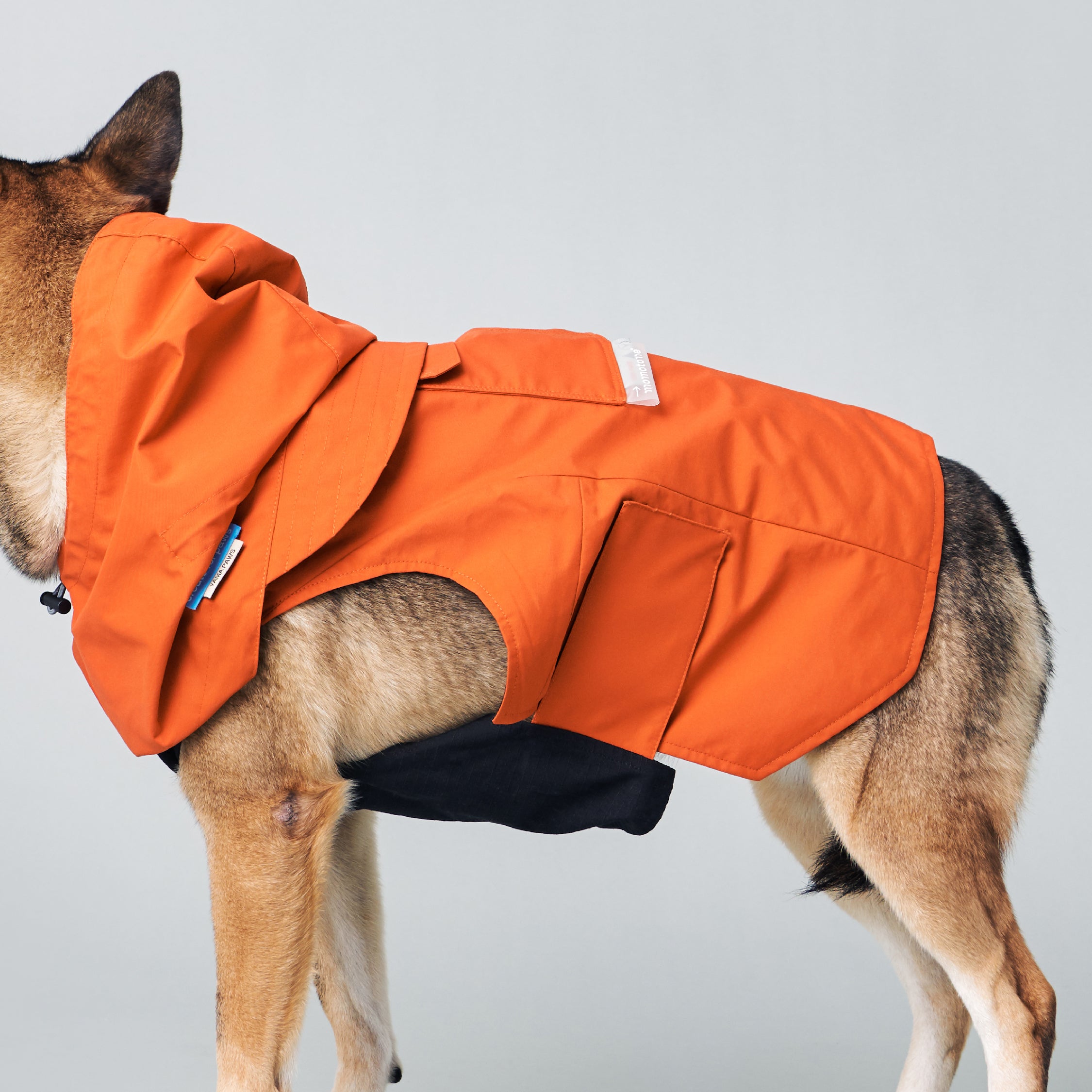 yama paws / sade rain parka orange – momotone®