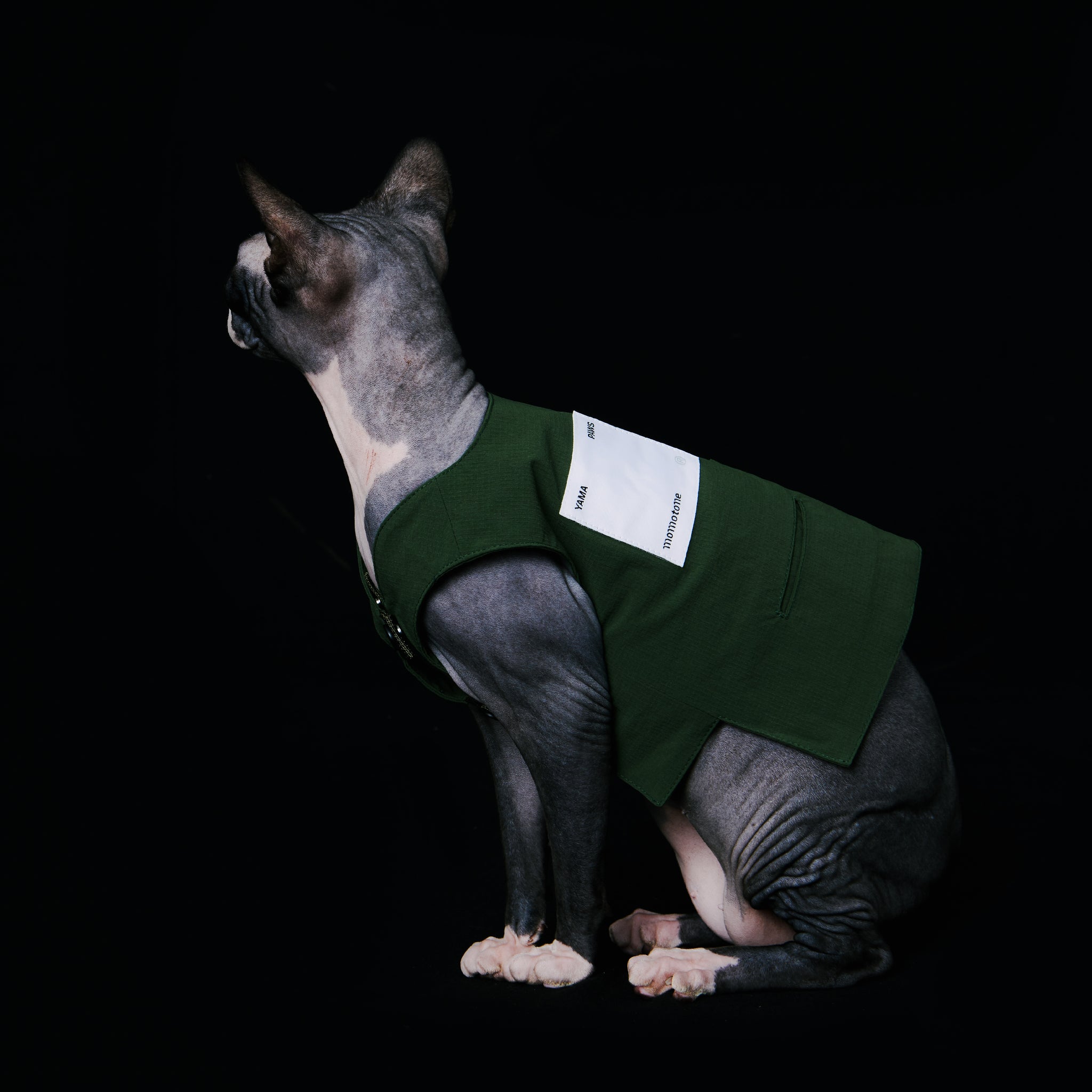 yama paws / basalt vest green