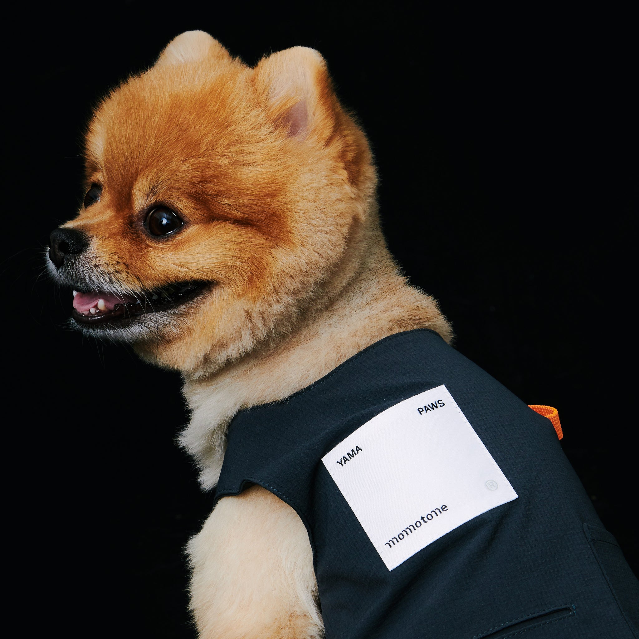yama paws / technical vest offwhite