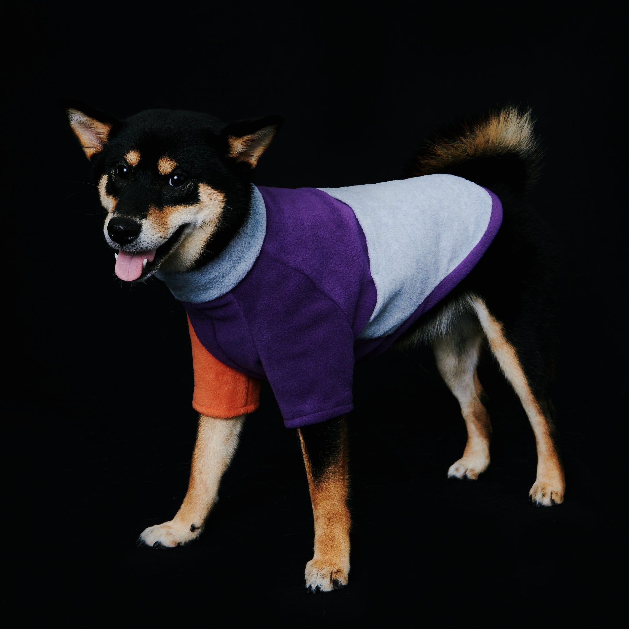 yama paws / glacier fleece sweater purple