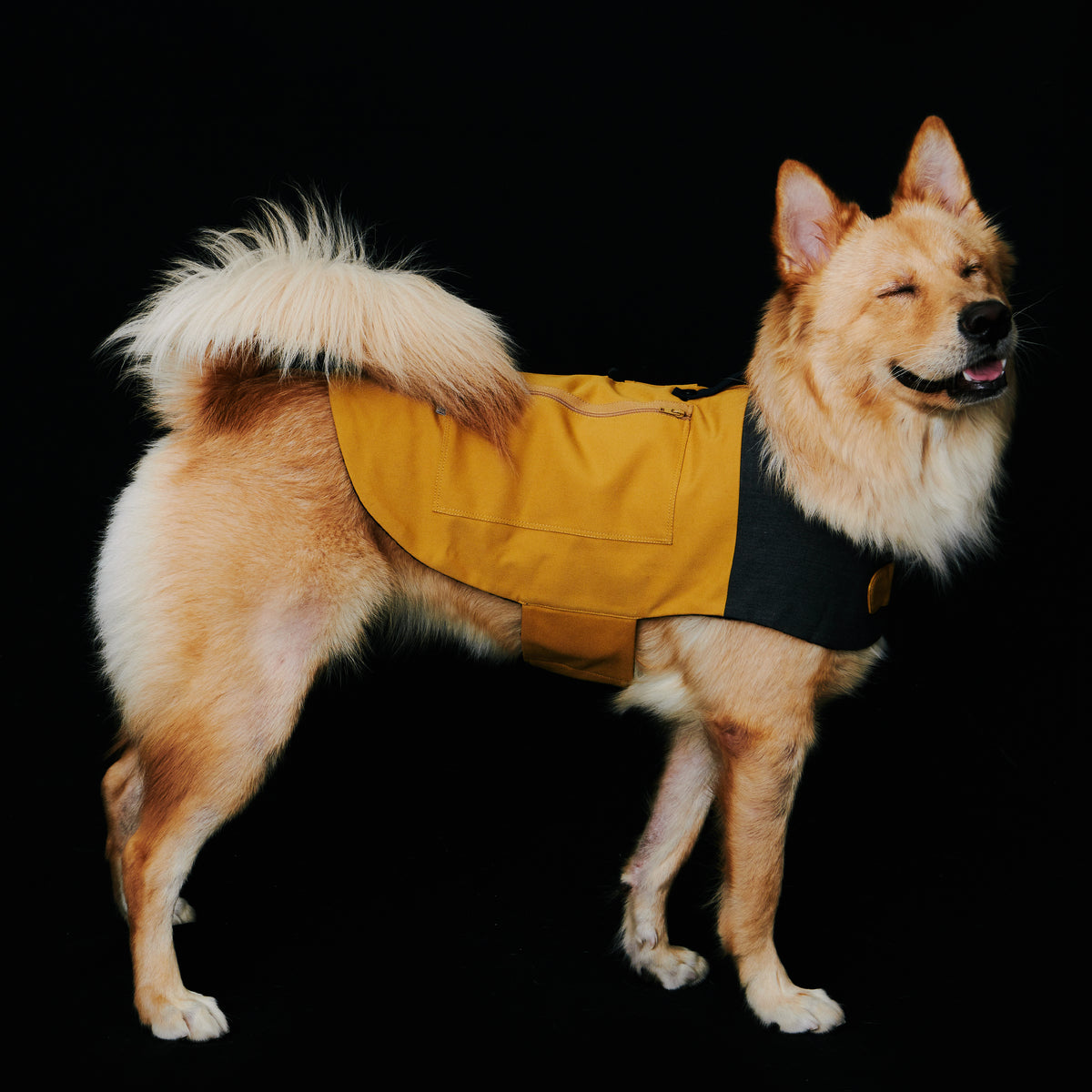 building block / anti-static fleece jacket mustard – momotone®