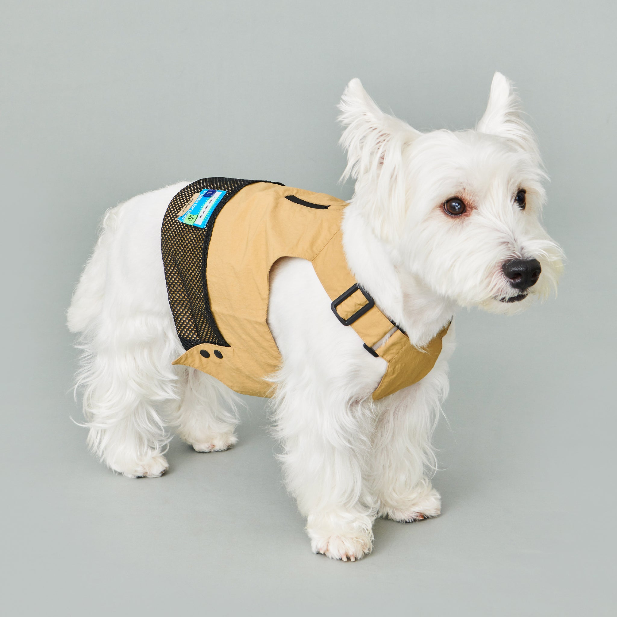 yama paws / technical vest black