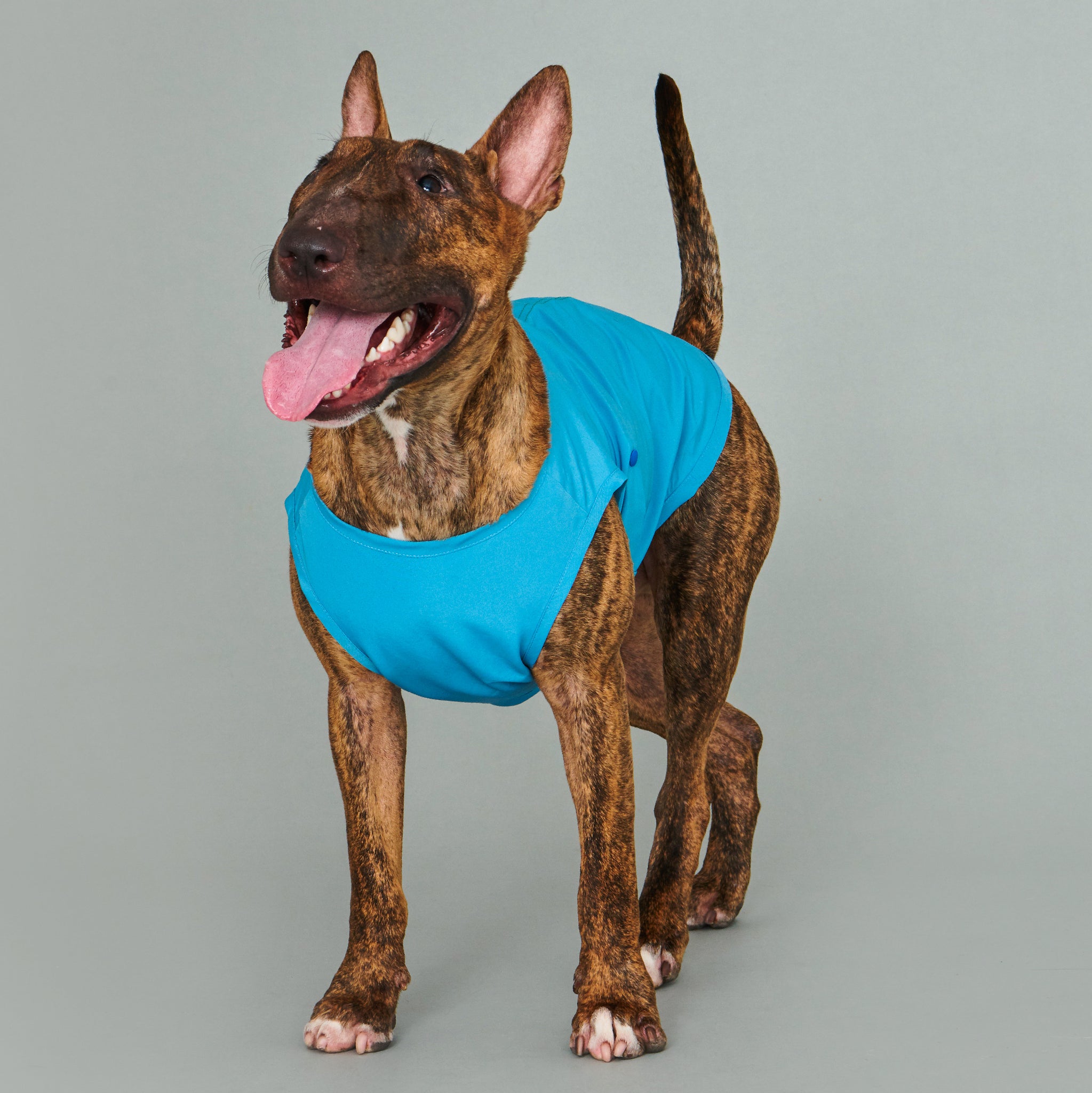vision / vest jacket turquoise