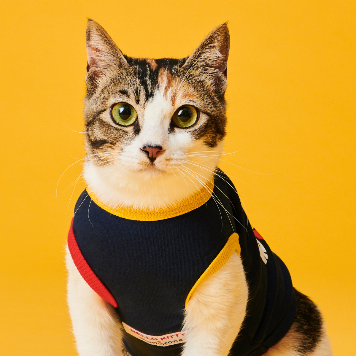 Hello Kitty ❤ momotone / on foot vest